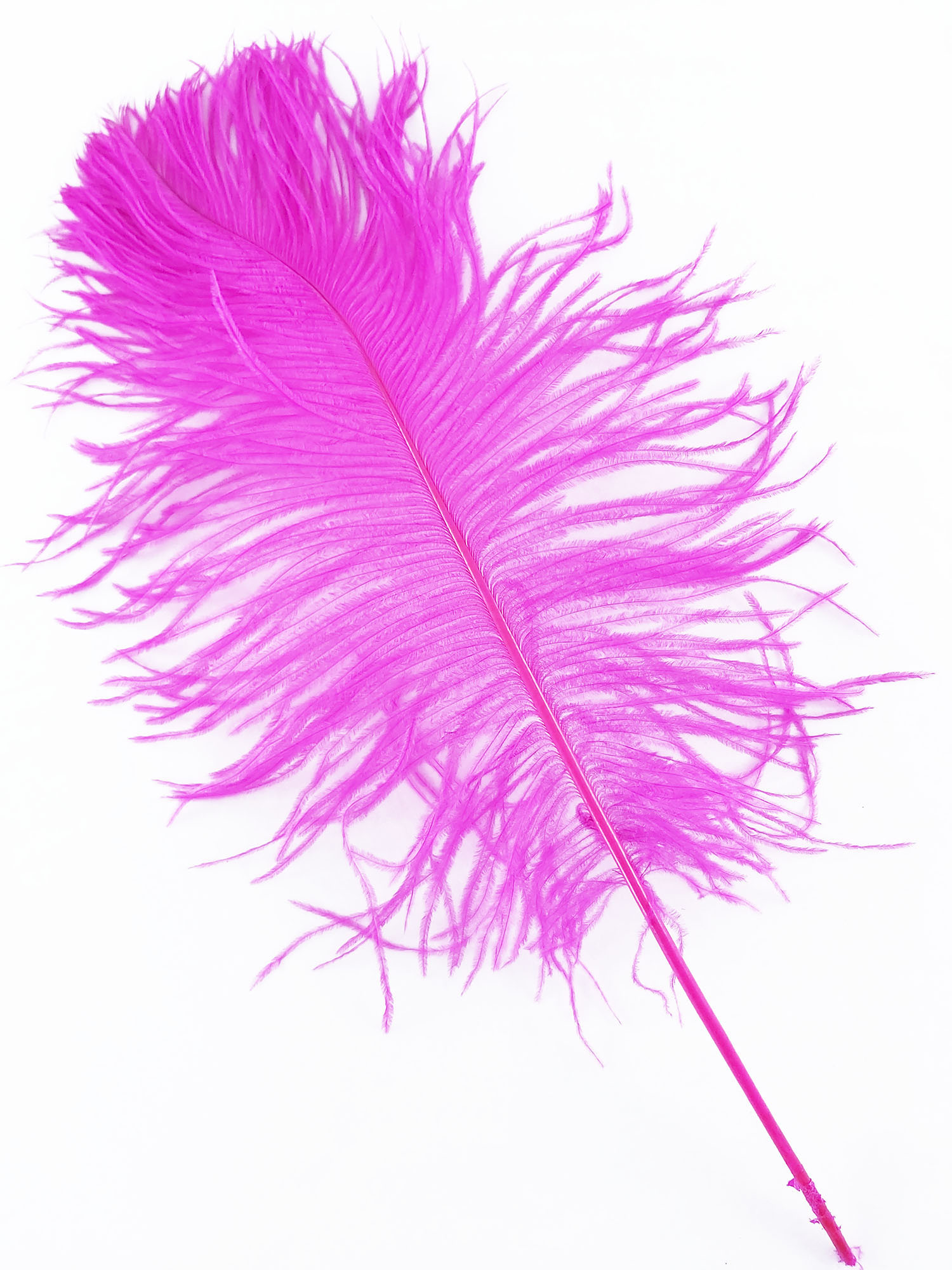 plume petite autruche fushia legere