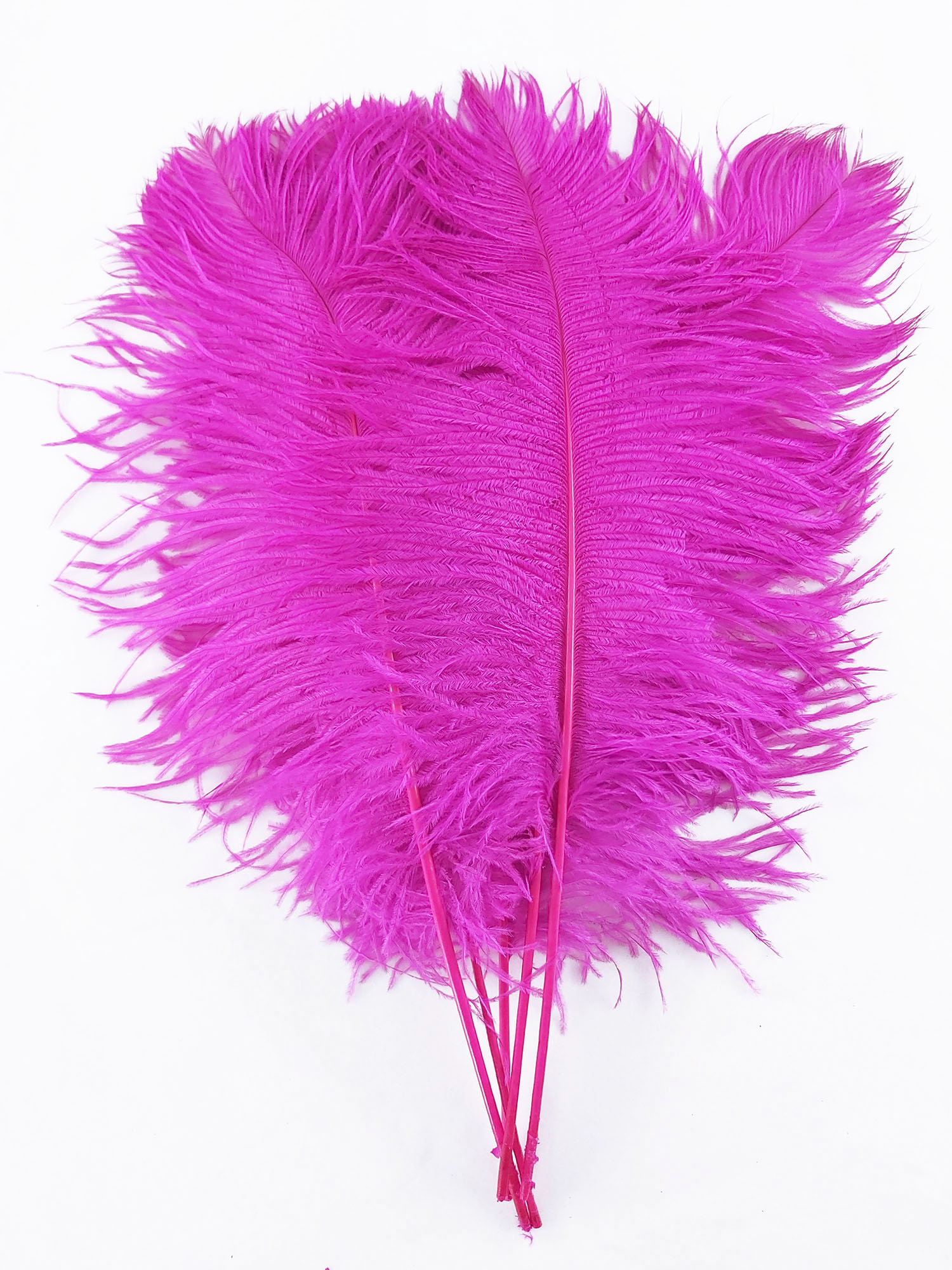 plume petite autruche rose fushia