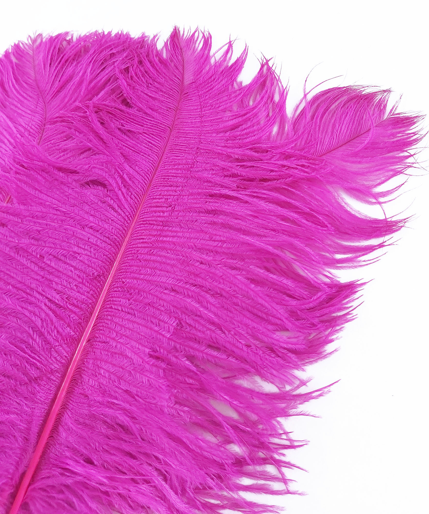 plume petite autruche fushia