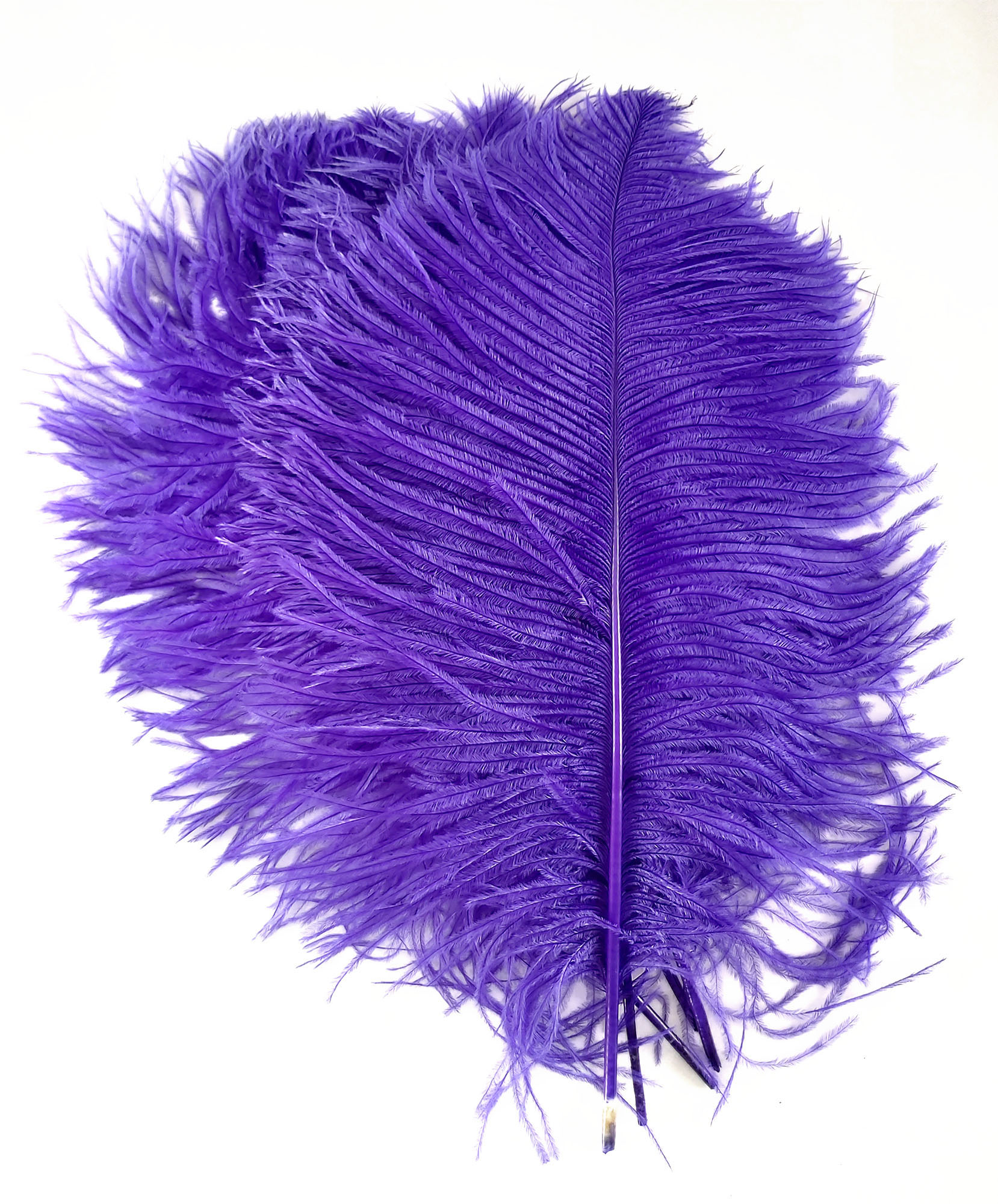 plume petite autruche legere violet