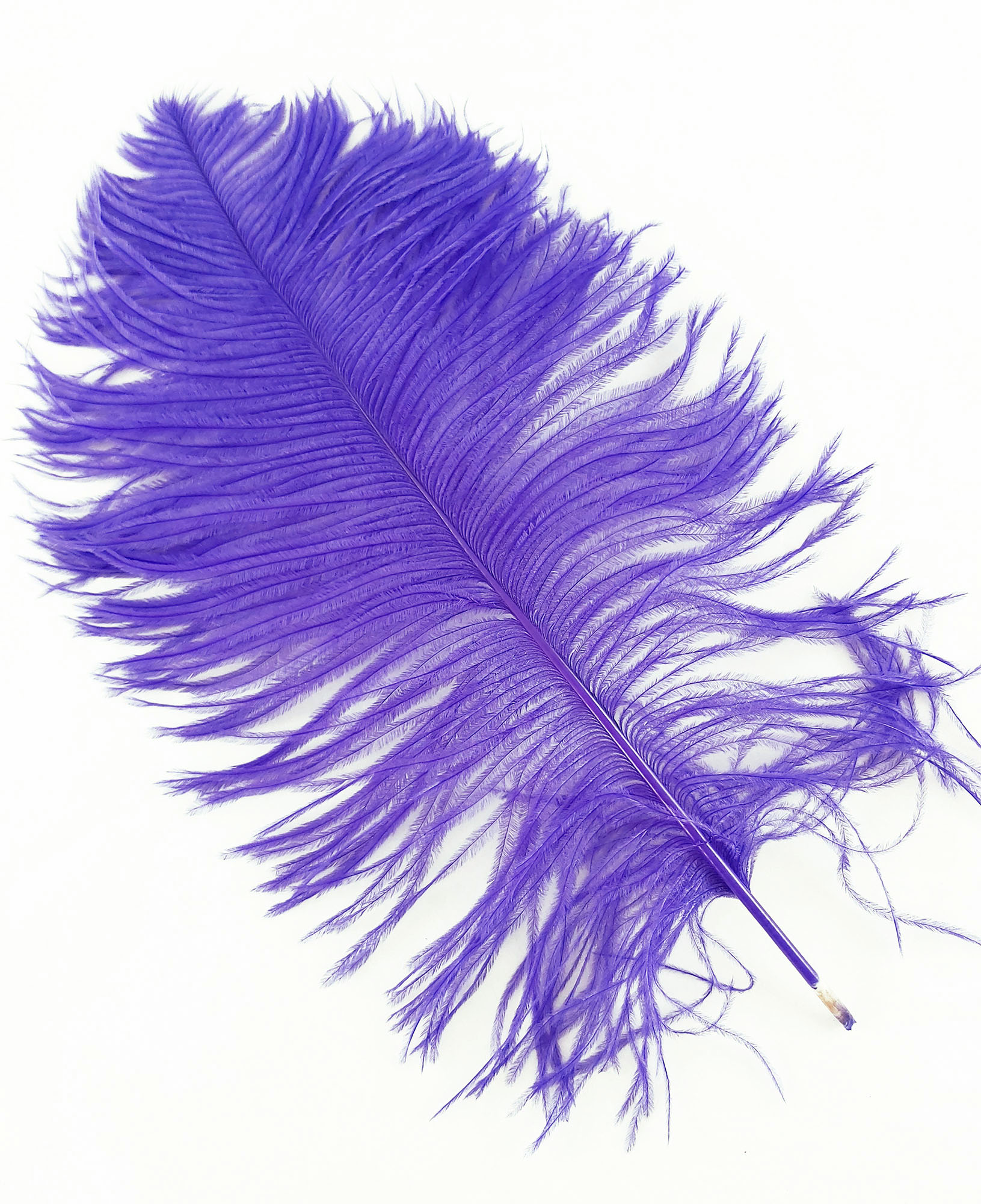 plume petite autruche violet