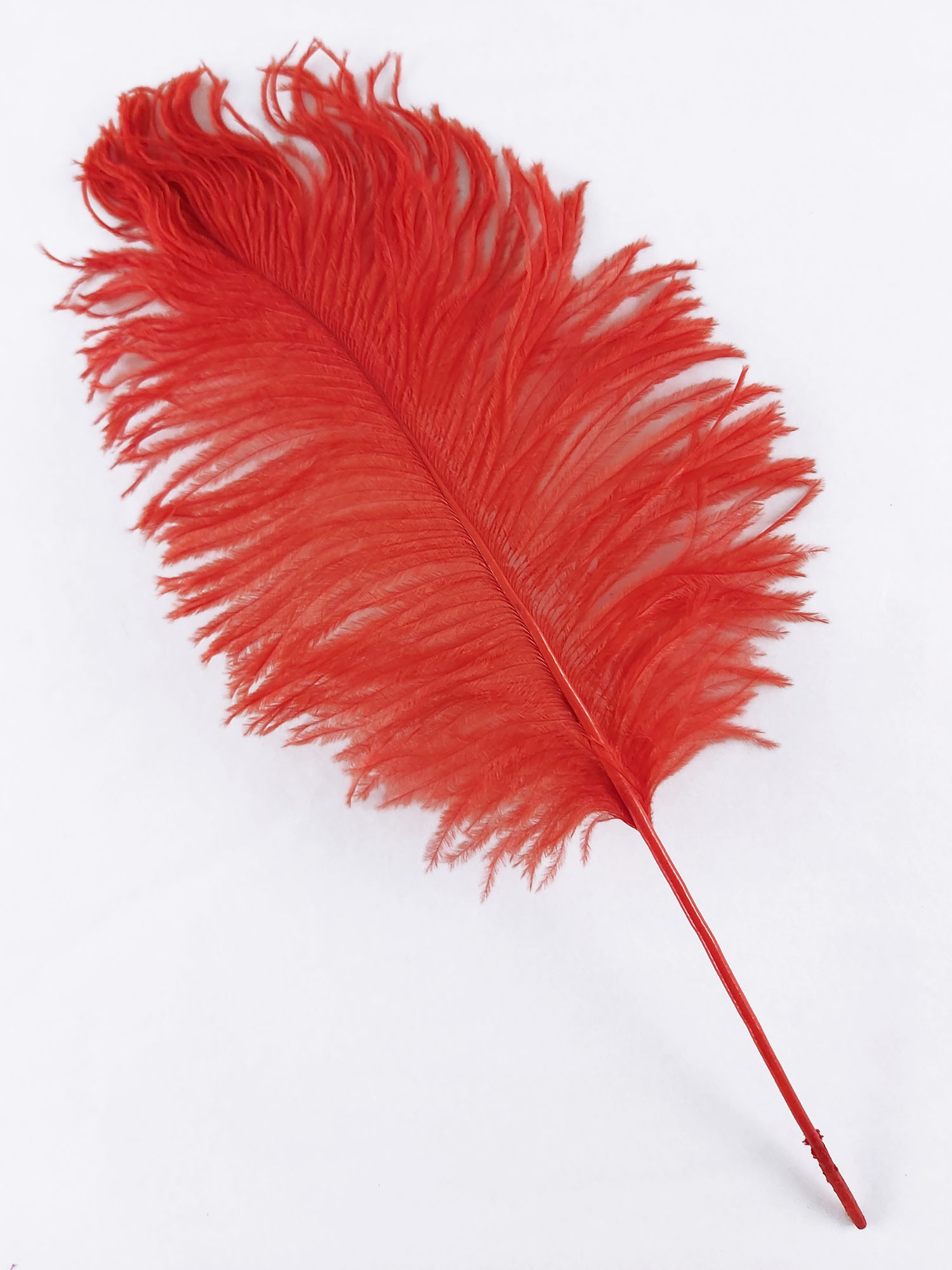 plume petite autruche rouge raide