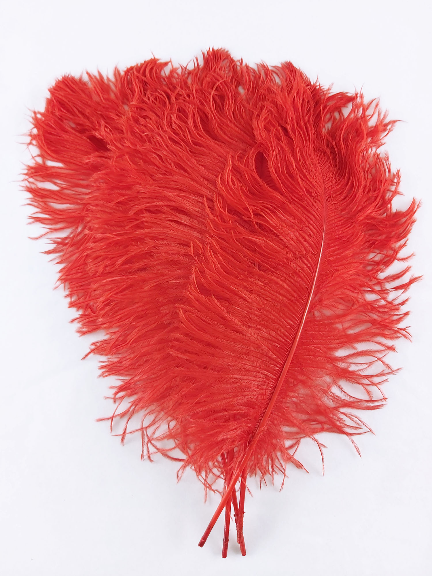 plume petite autruche rouge legere