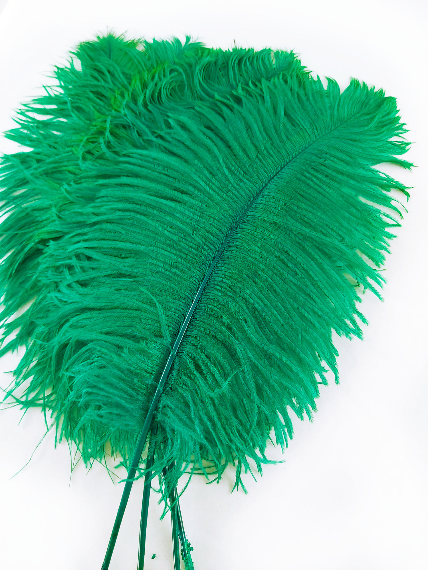plume petite autruche vert legere