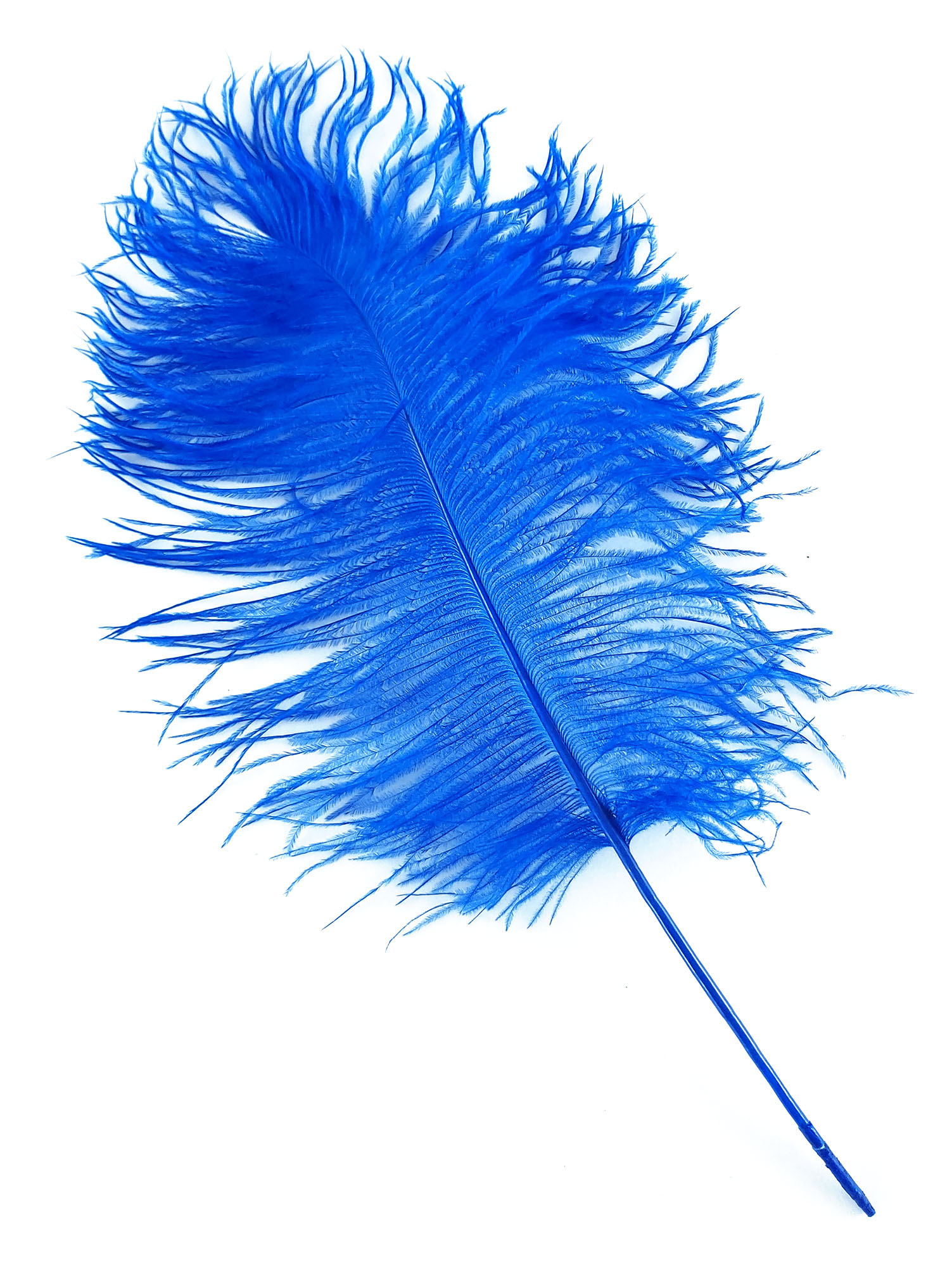 plume petite autruche bleu raide