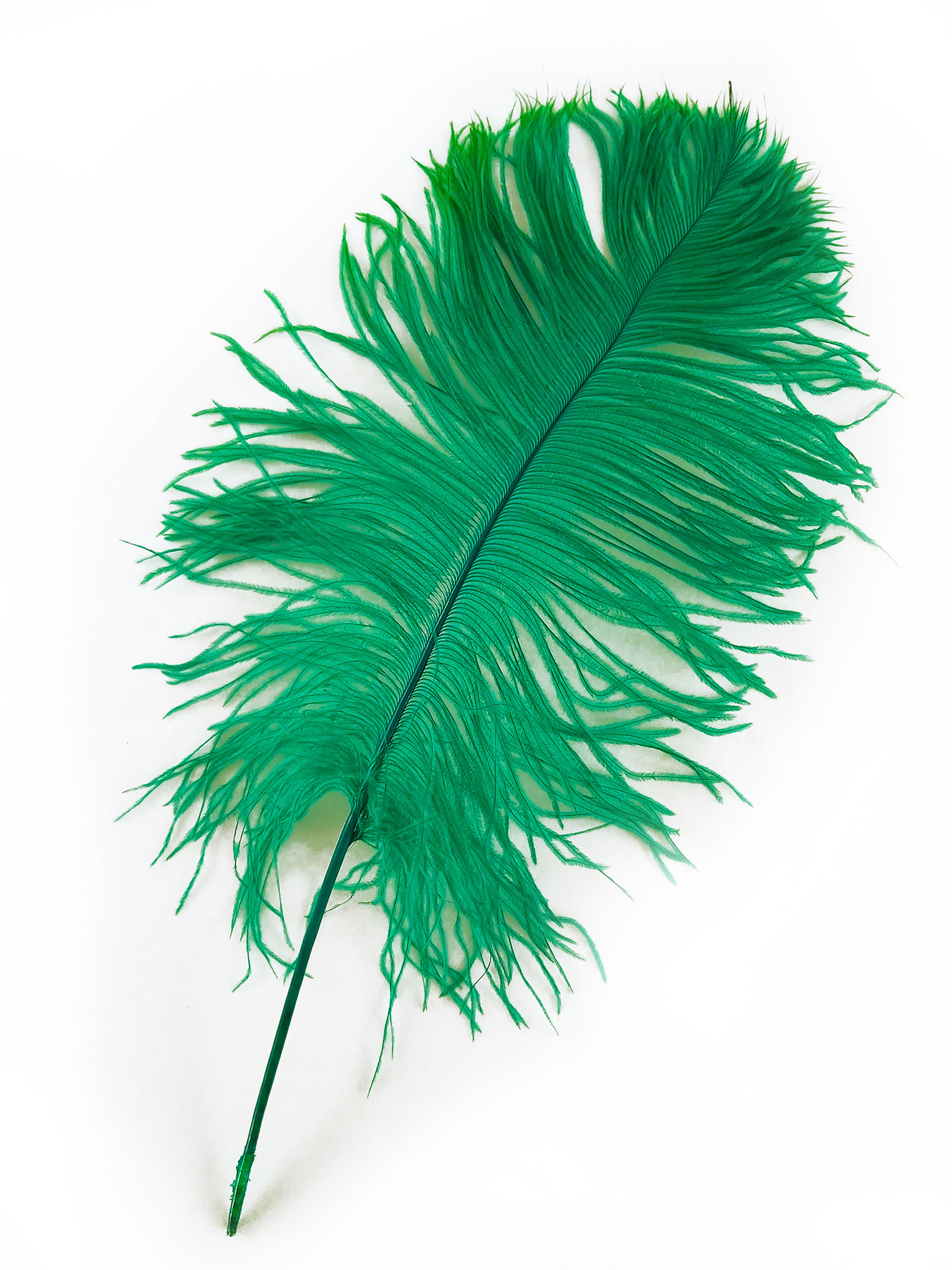 plume petite autruche vert raide