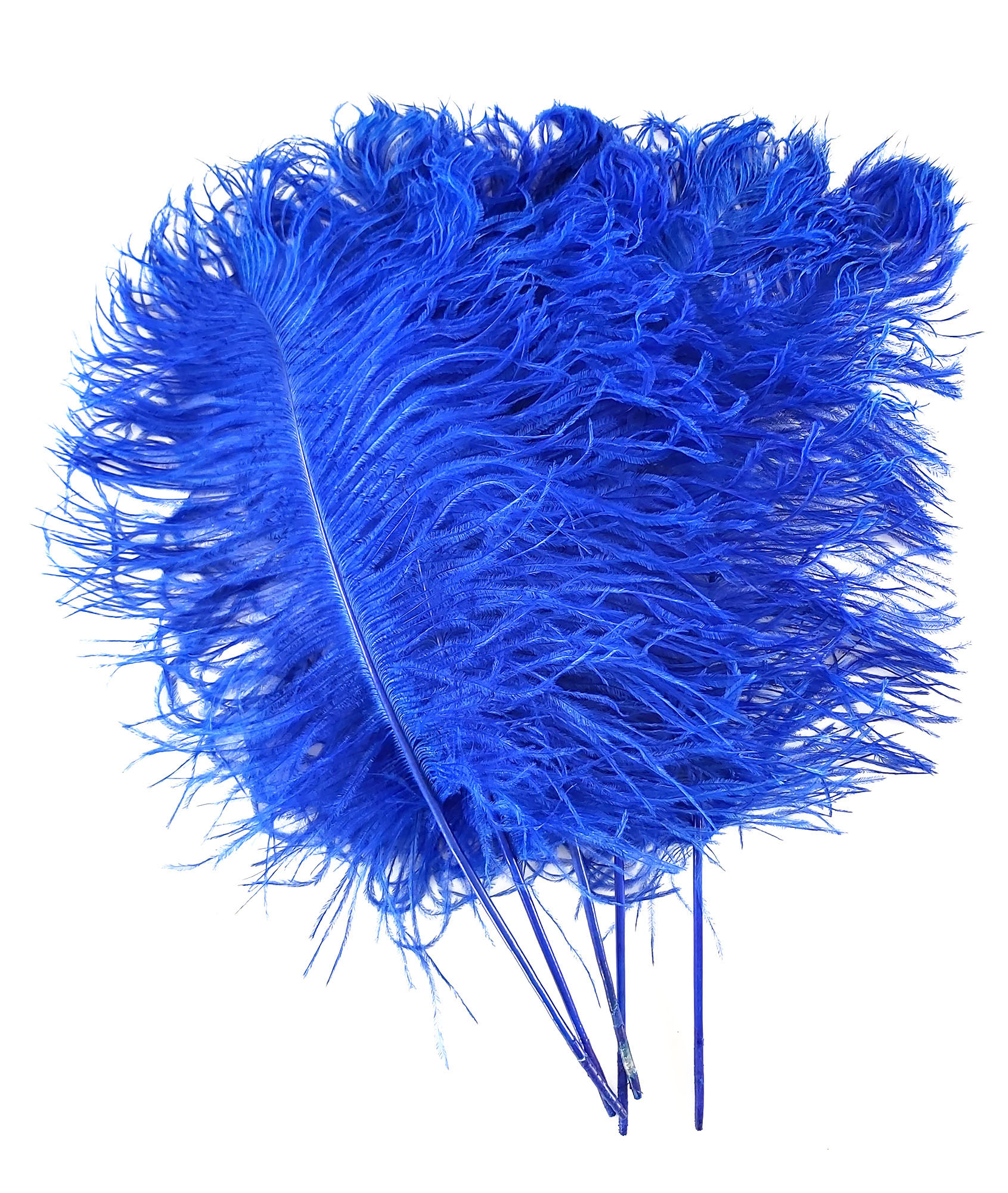 plume petite autruche bleu