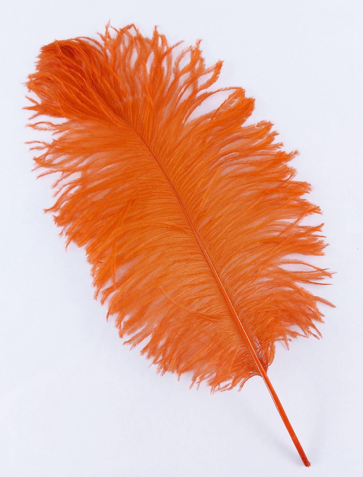 plume petite autruche legere orange