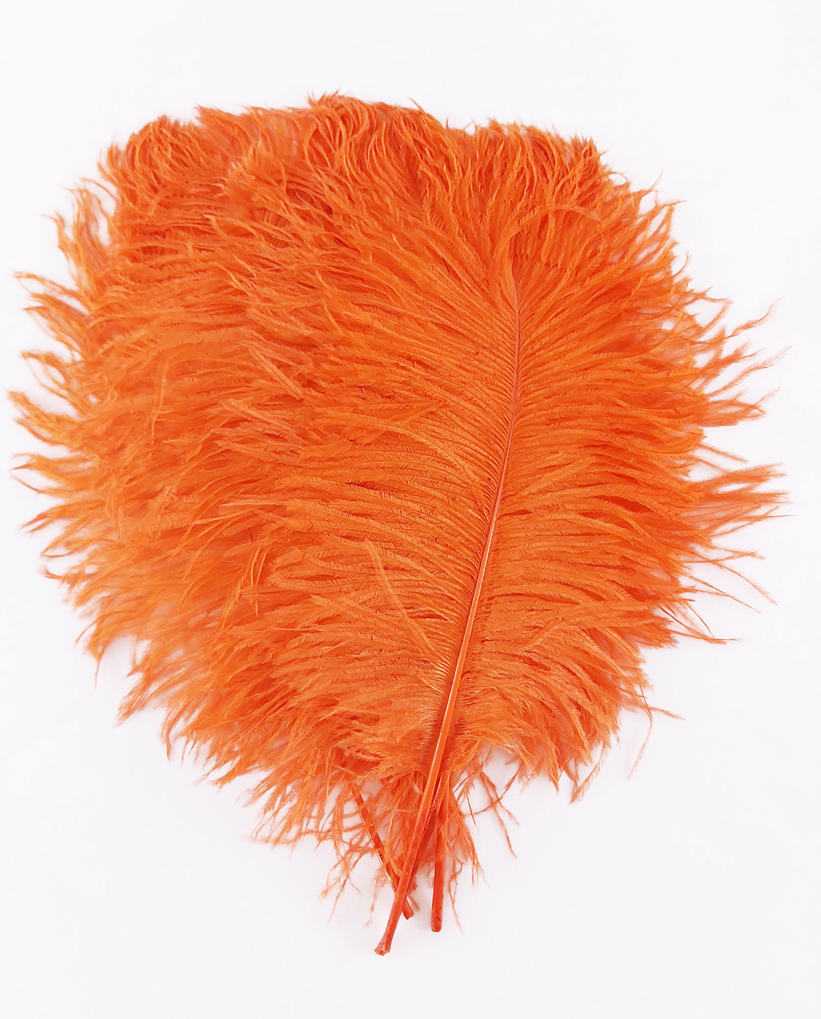 plume petite autruche orange raide