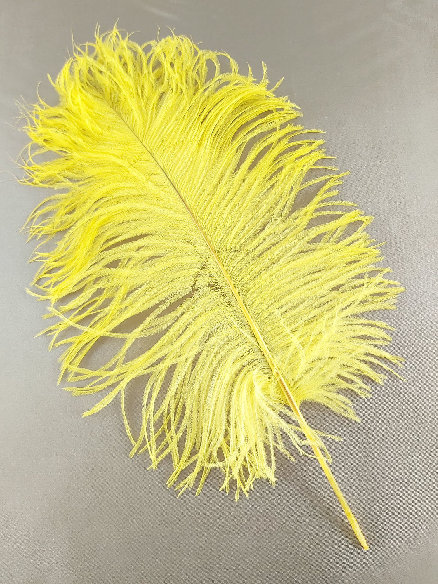 plume petite autruche legere jaune