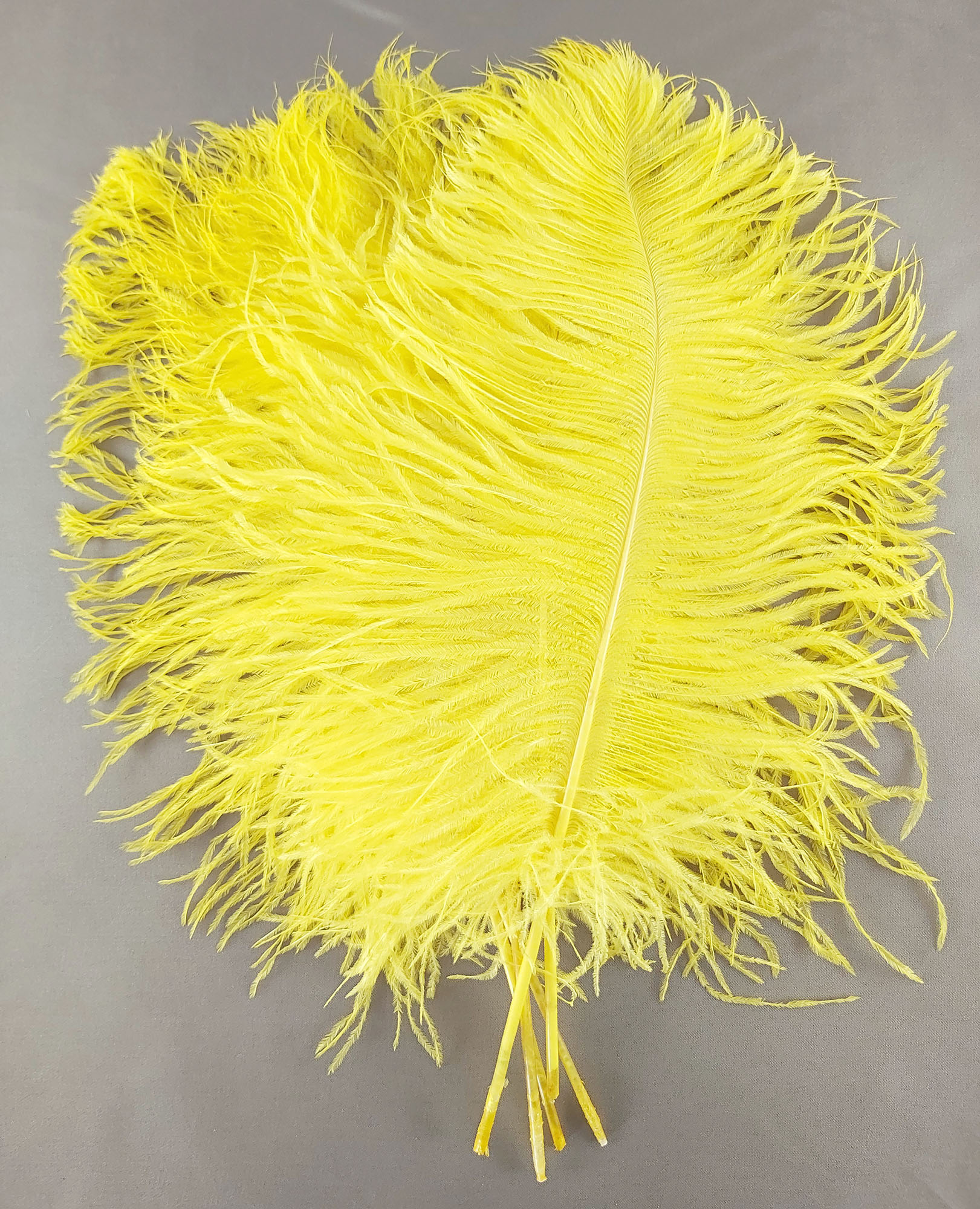 plume petite autruche jaune