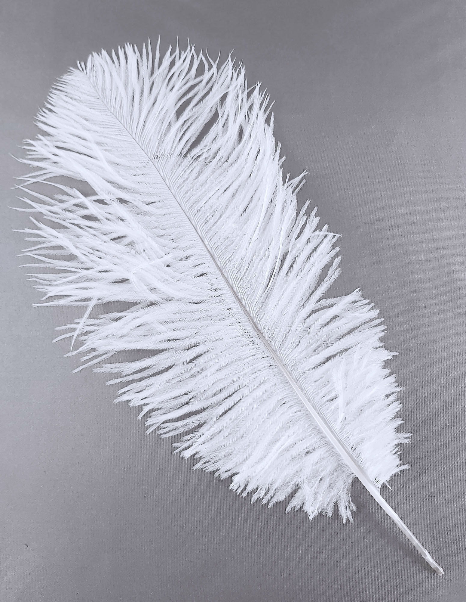 Plume autruche 25/35 cm - 3 pcs - blanc