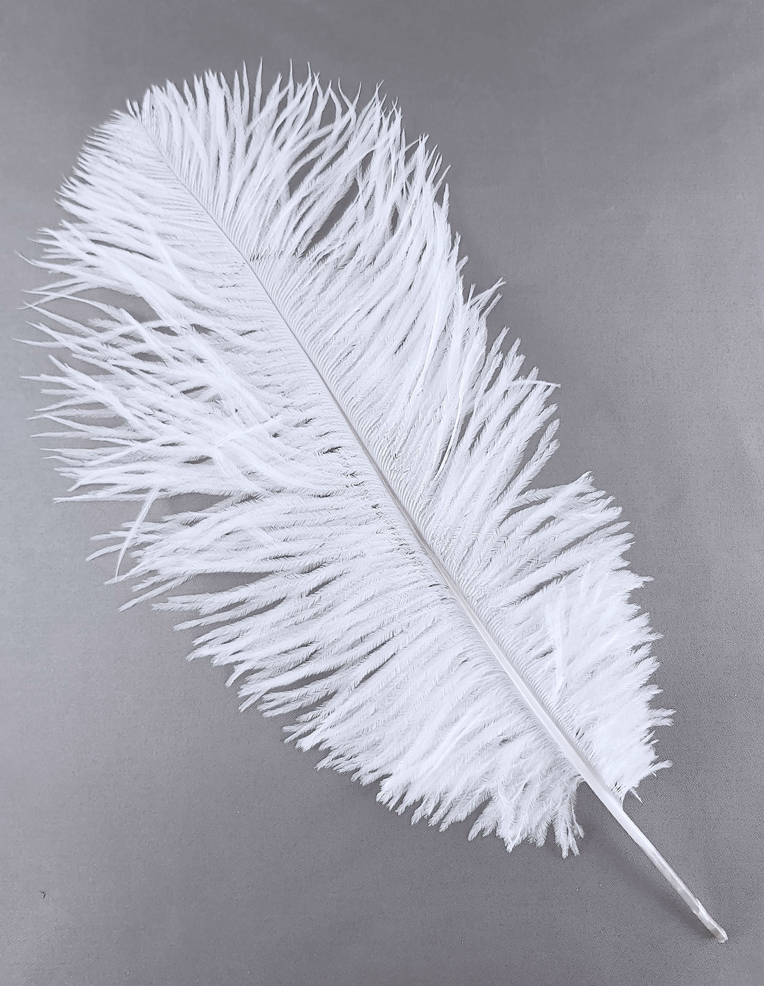 plume petite autruche blanc mariage