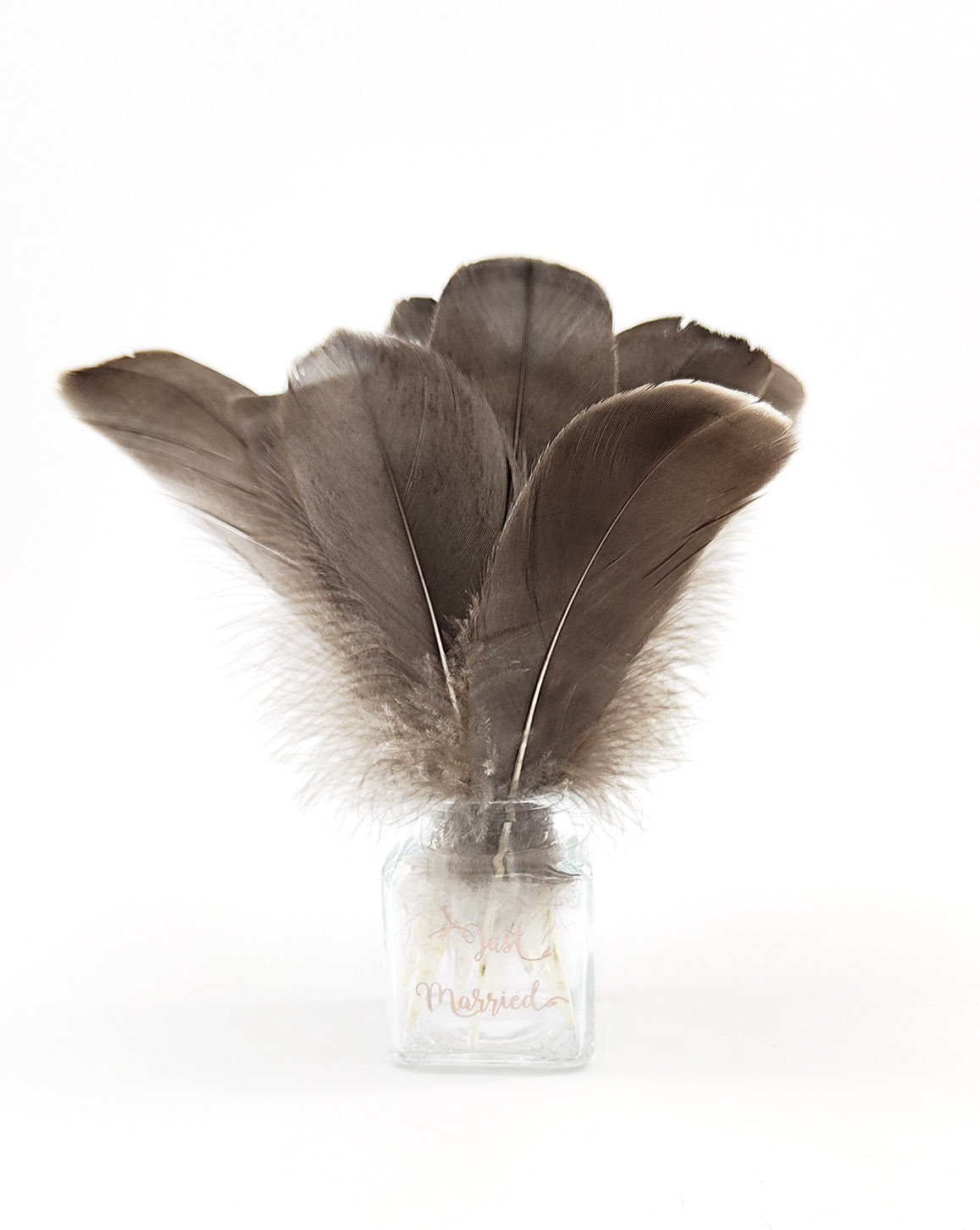 plume nageoire doie gris naturel