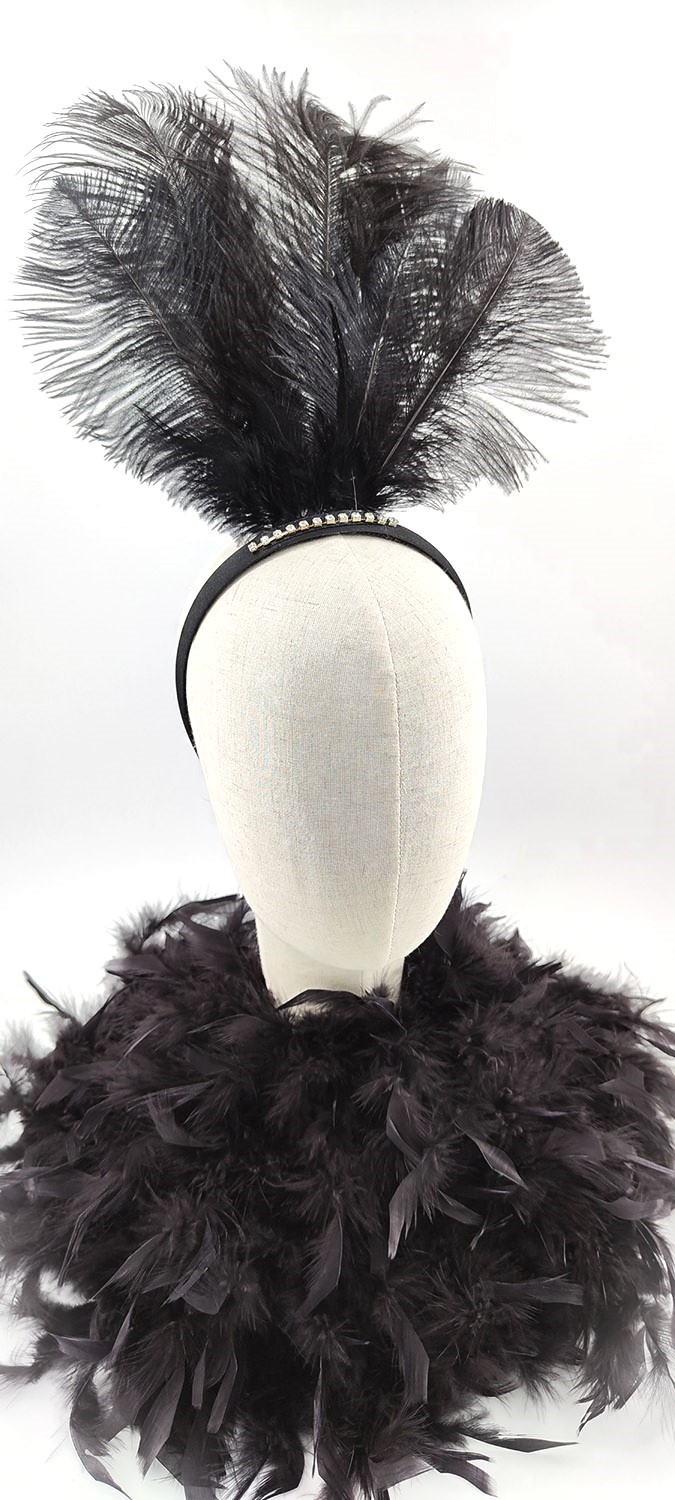 ensemble plume cerre tete boa noir