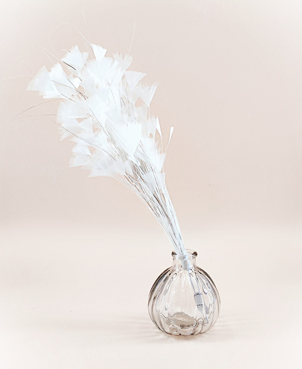 piquet fouet plume ecru
