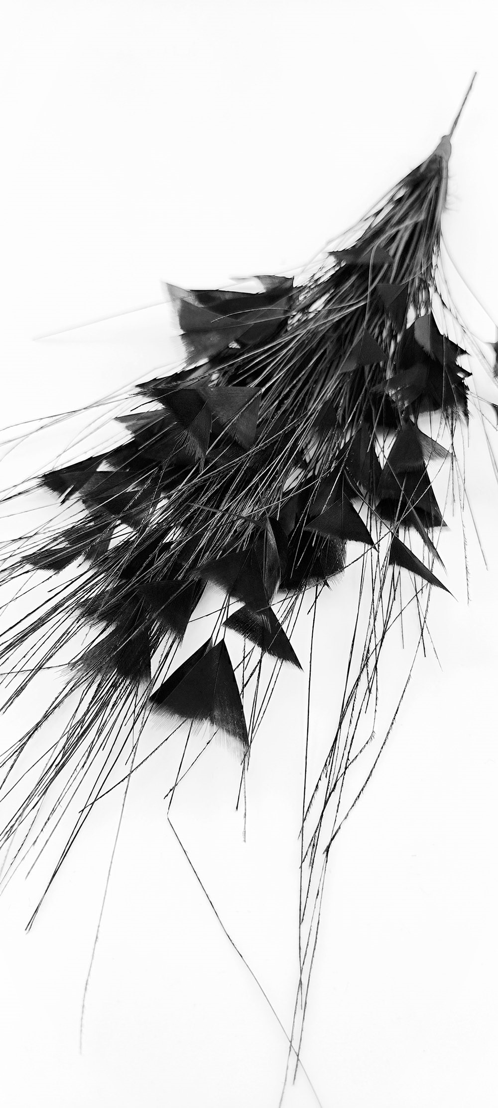 piquet fouet plume dinde noir