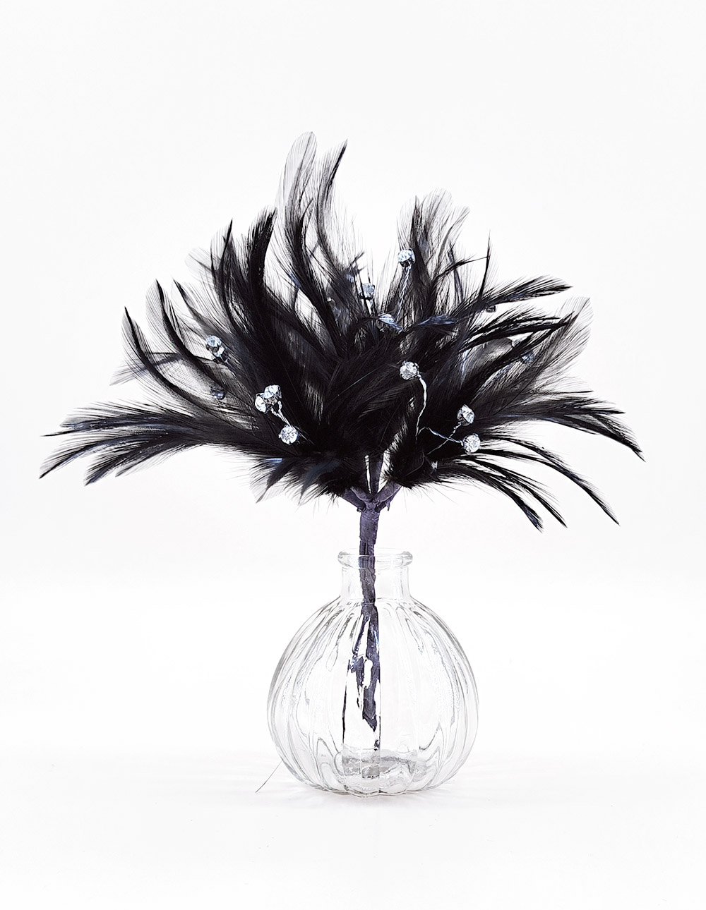 piquet noir plume coq strass