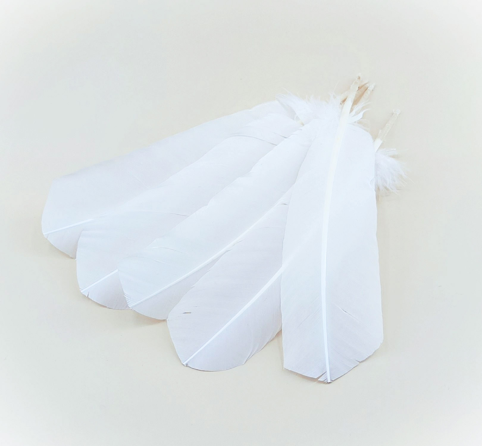 YELLOW-2 Meter -Plumes De Dinde Colorées 12 Grammes,Boa,2 Mètres