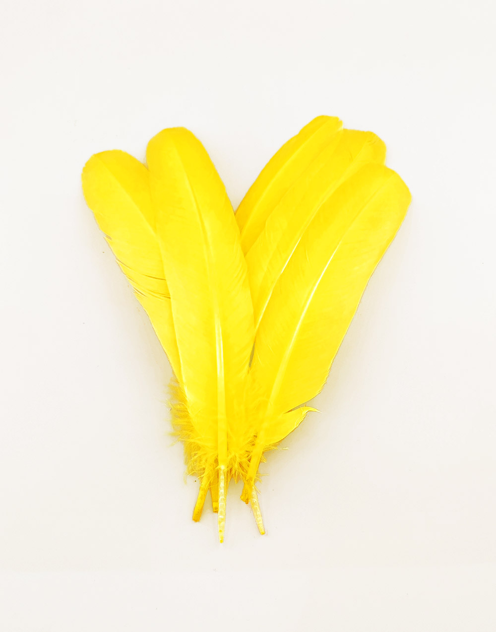 plume palette de dinde grande jaune vif