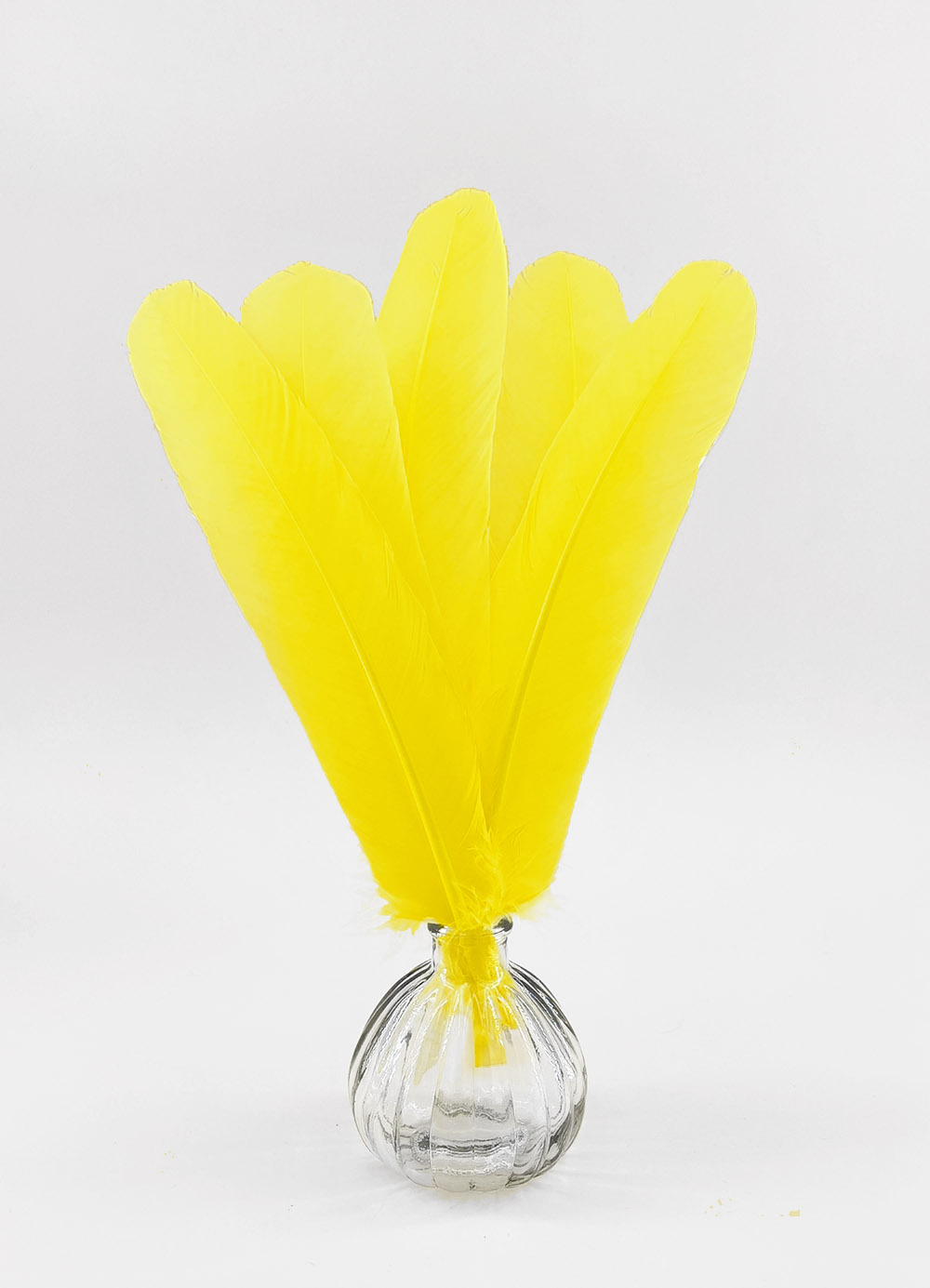 plume palette de dinde jaune vif