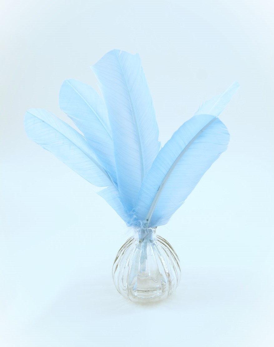 plume palette de dinde bleu porcelaine