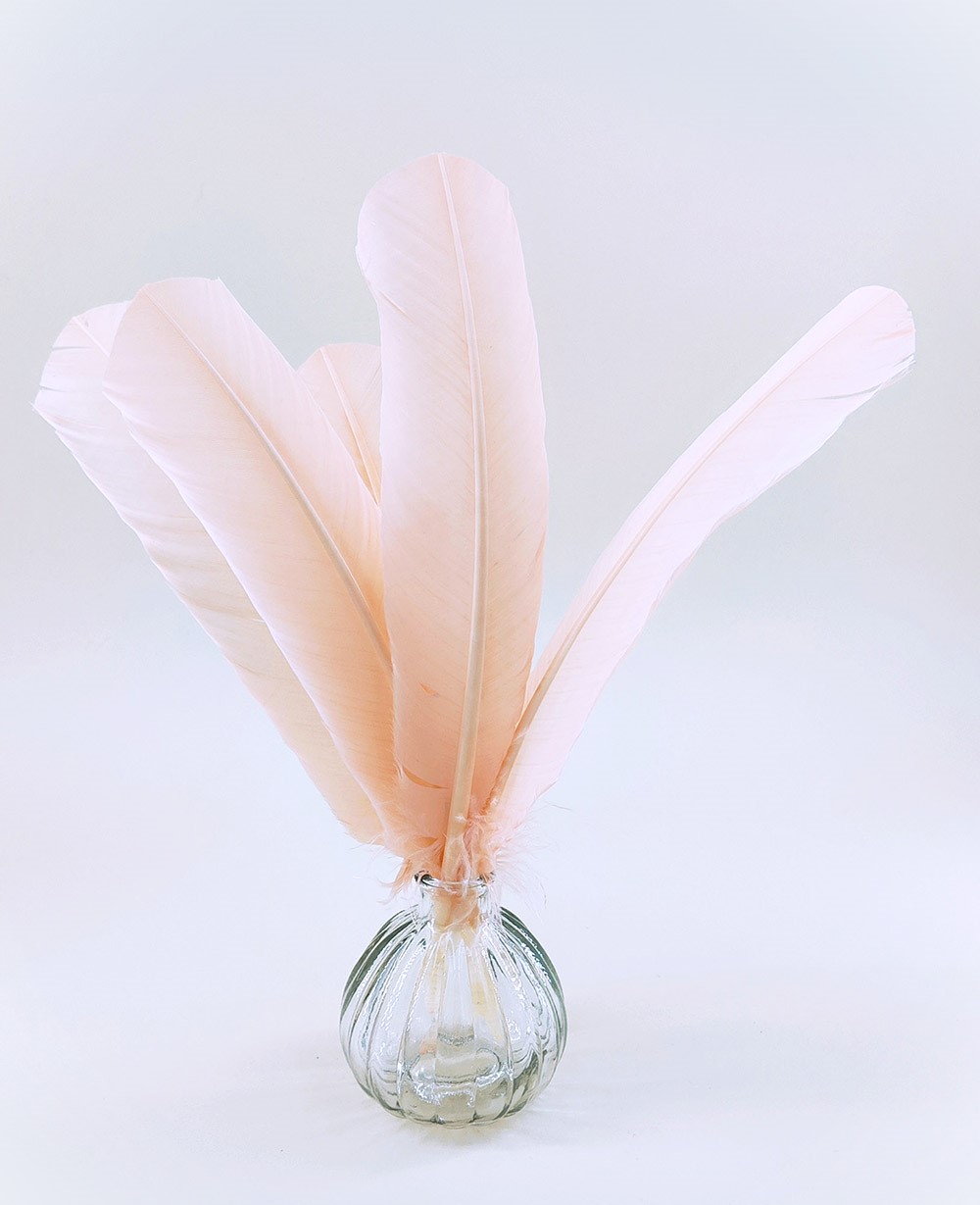 plume palette de dinde rose poudre rigide