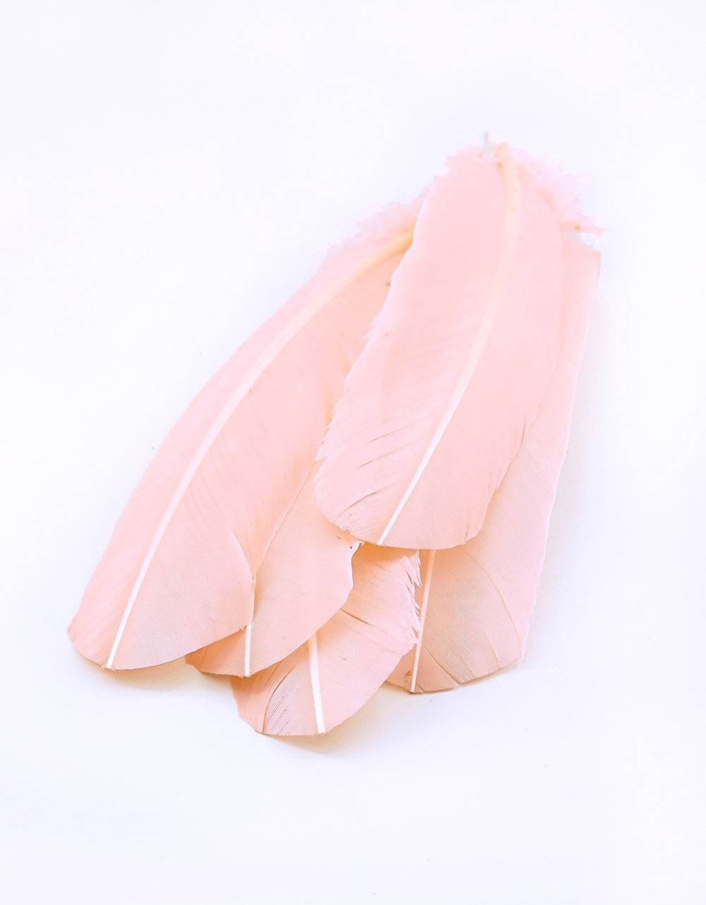plume palette de dinde poudre