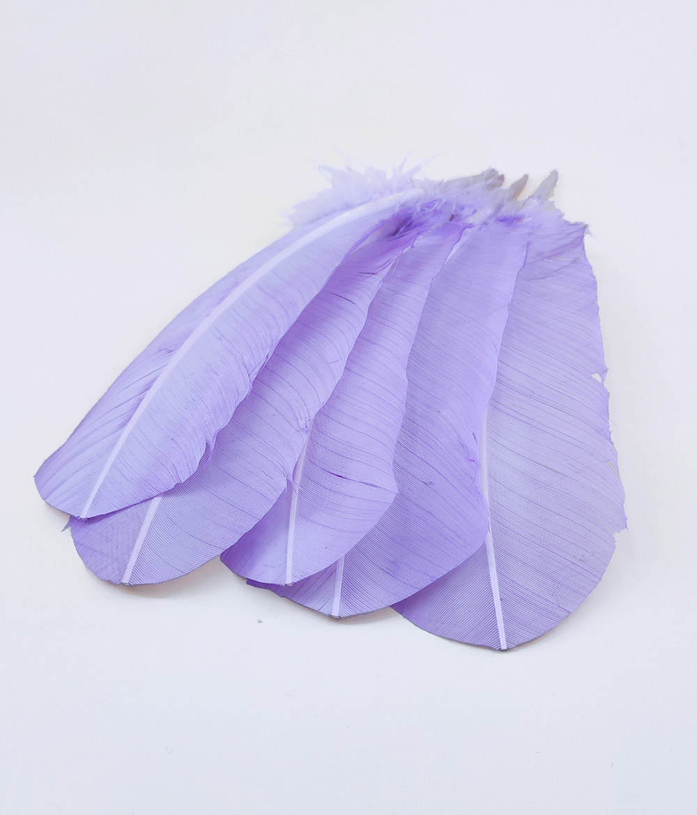 plume palette de dinde rigide parme