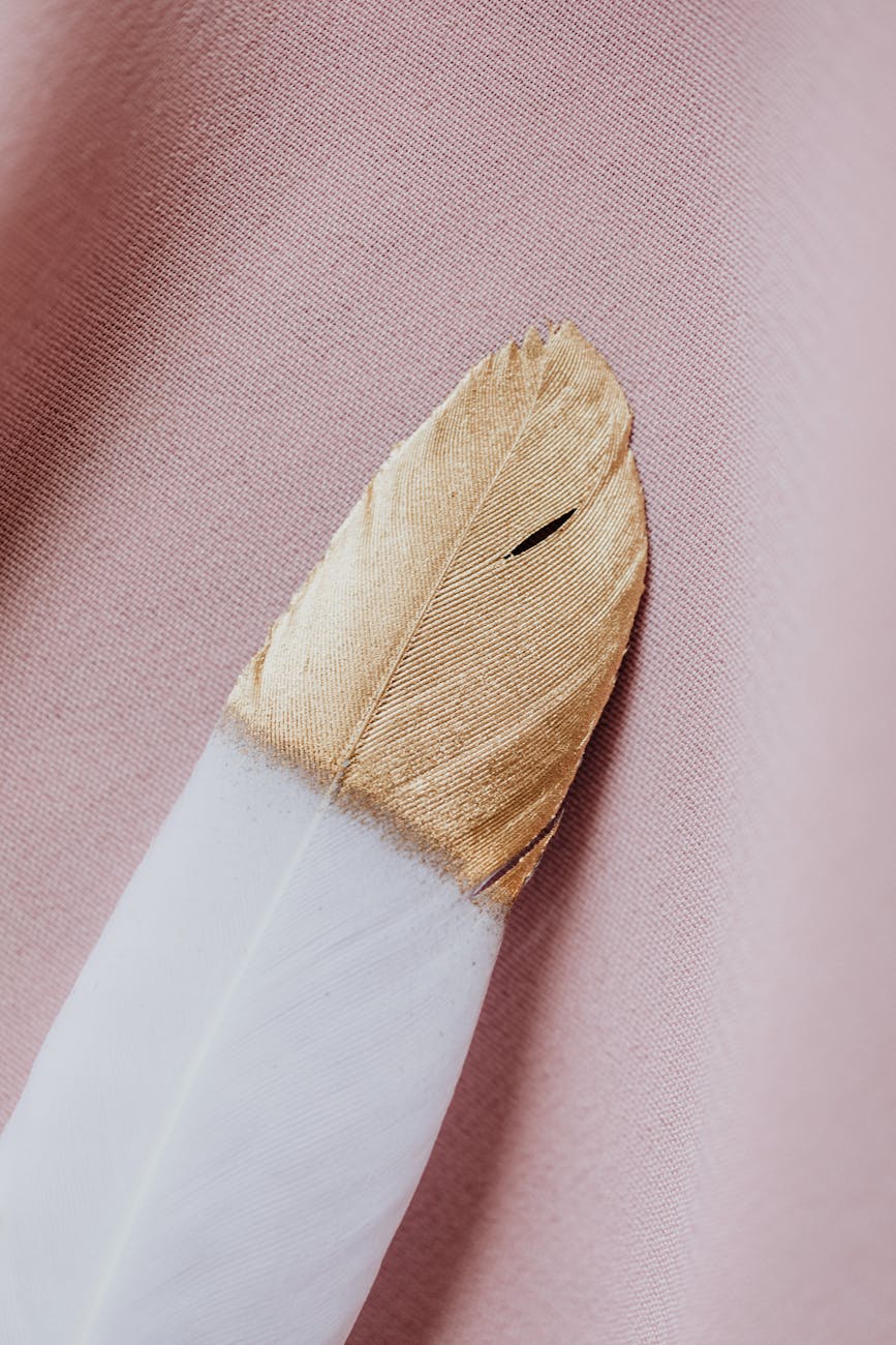 idée DIY plume doie