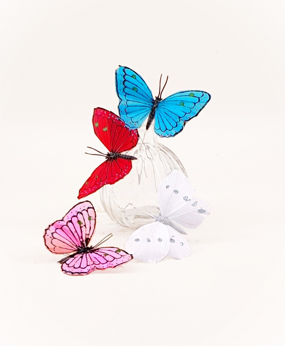 papillons en plume ros bleu rouge blanc