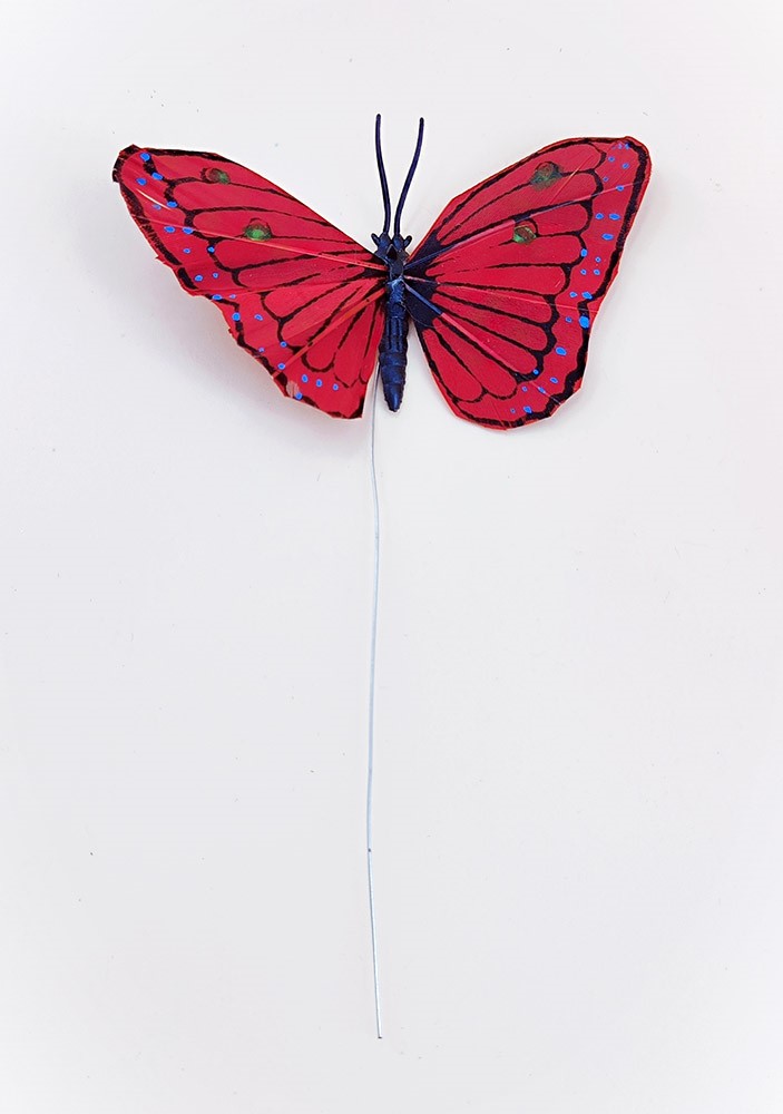 papillon en plume rouge