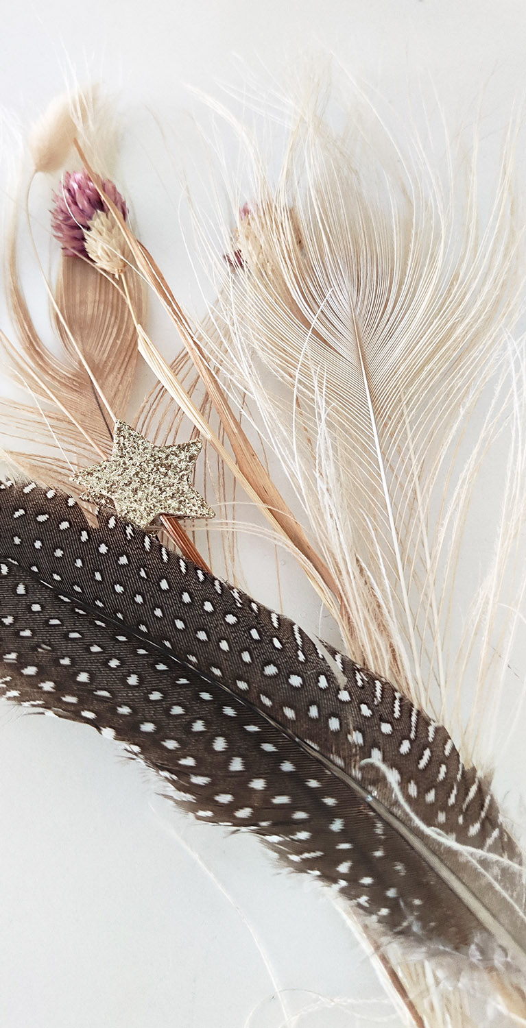 plume paon pintade