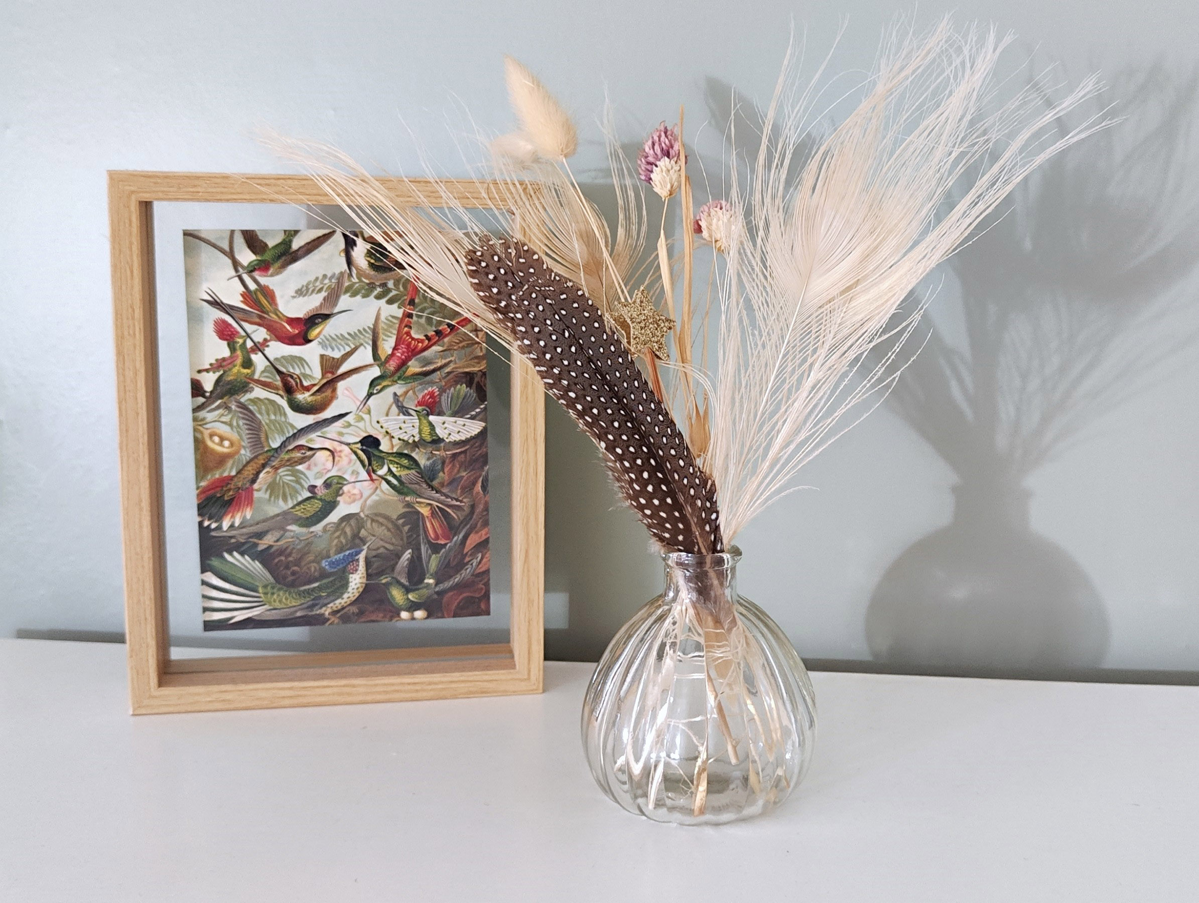plume pintade et paon pour décoration