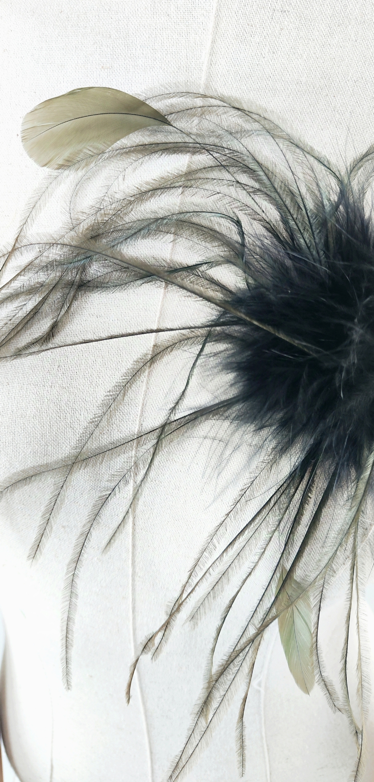broche plume colorée