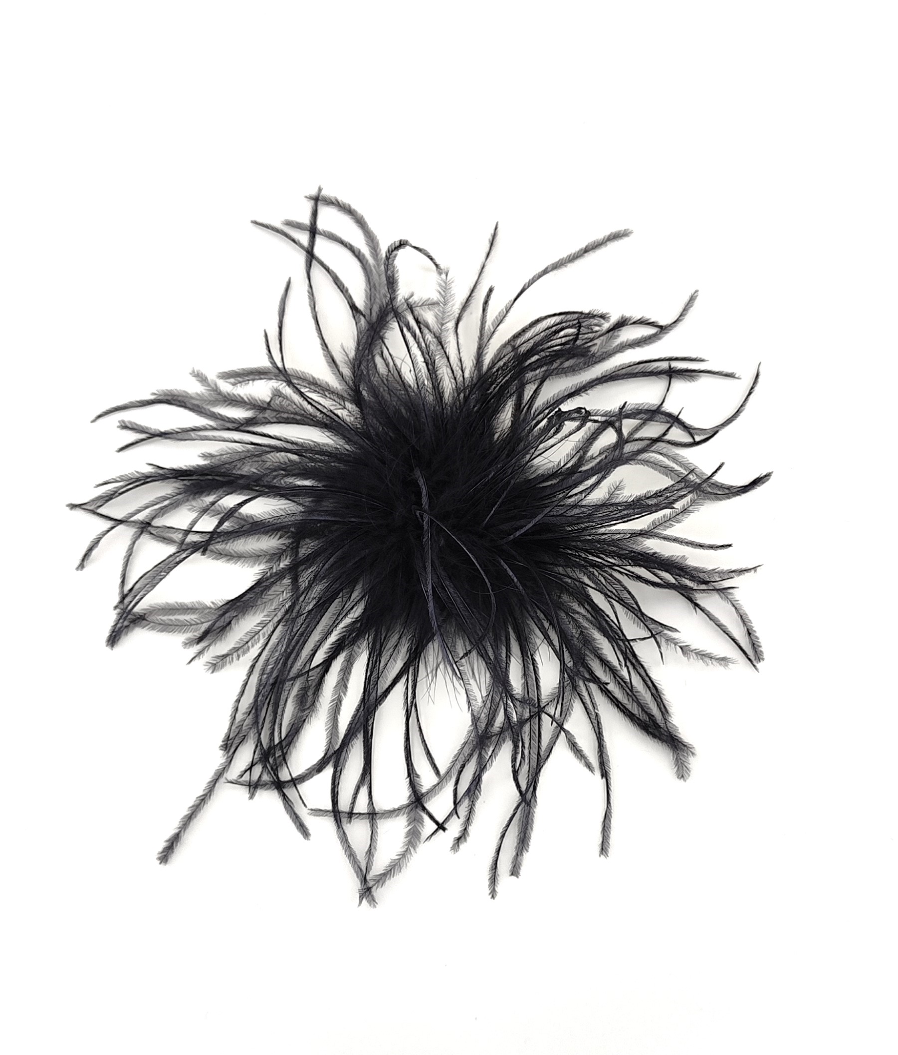 broche plume dautruche noir soirée