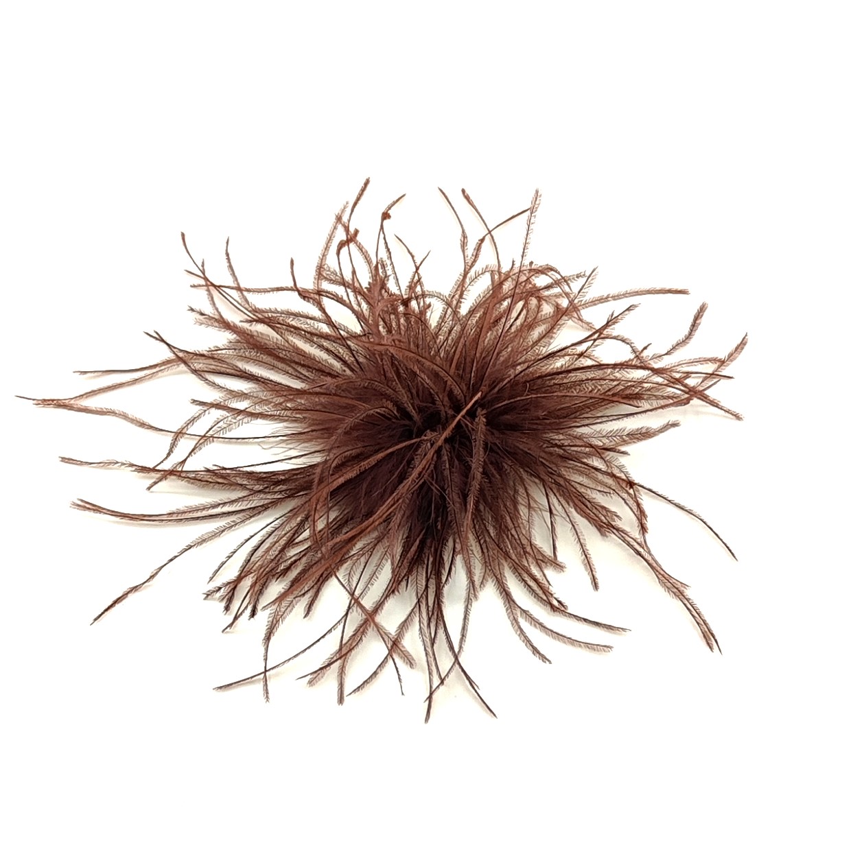 broche plume dautruche marron brun