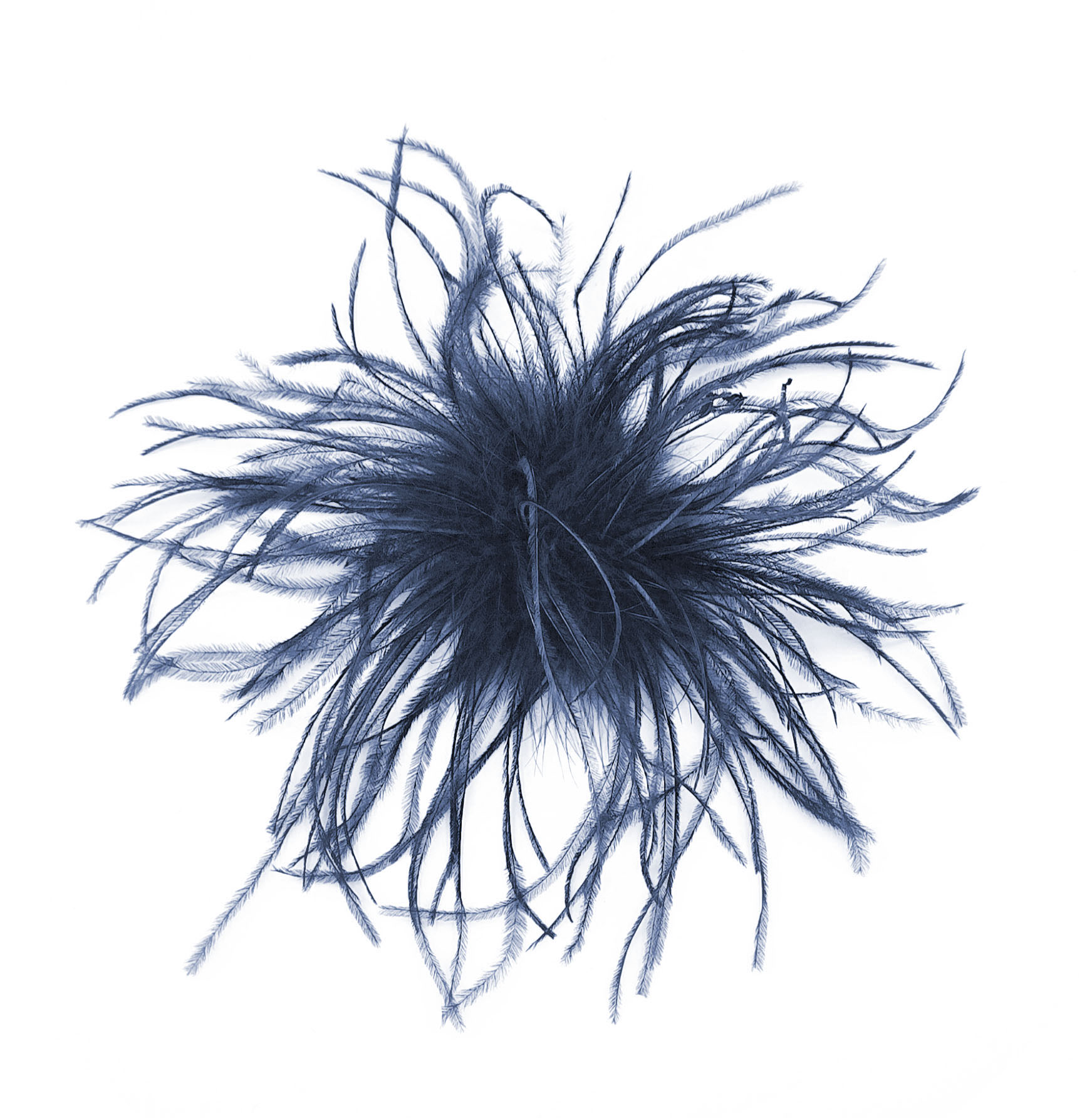 broche plume dautruche marine