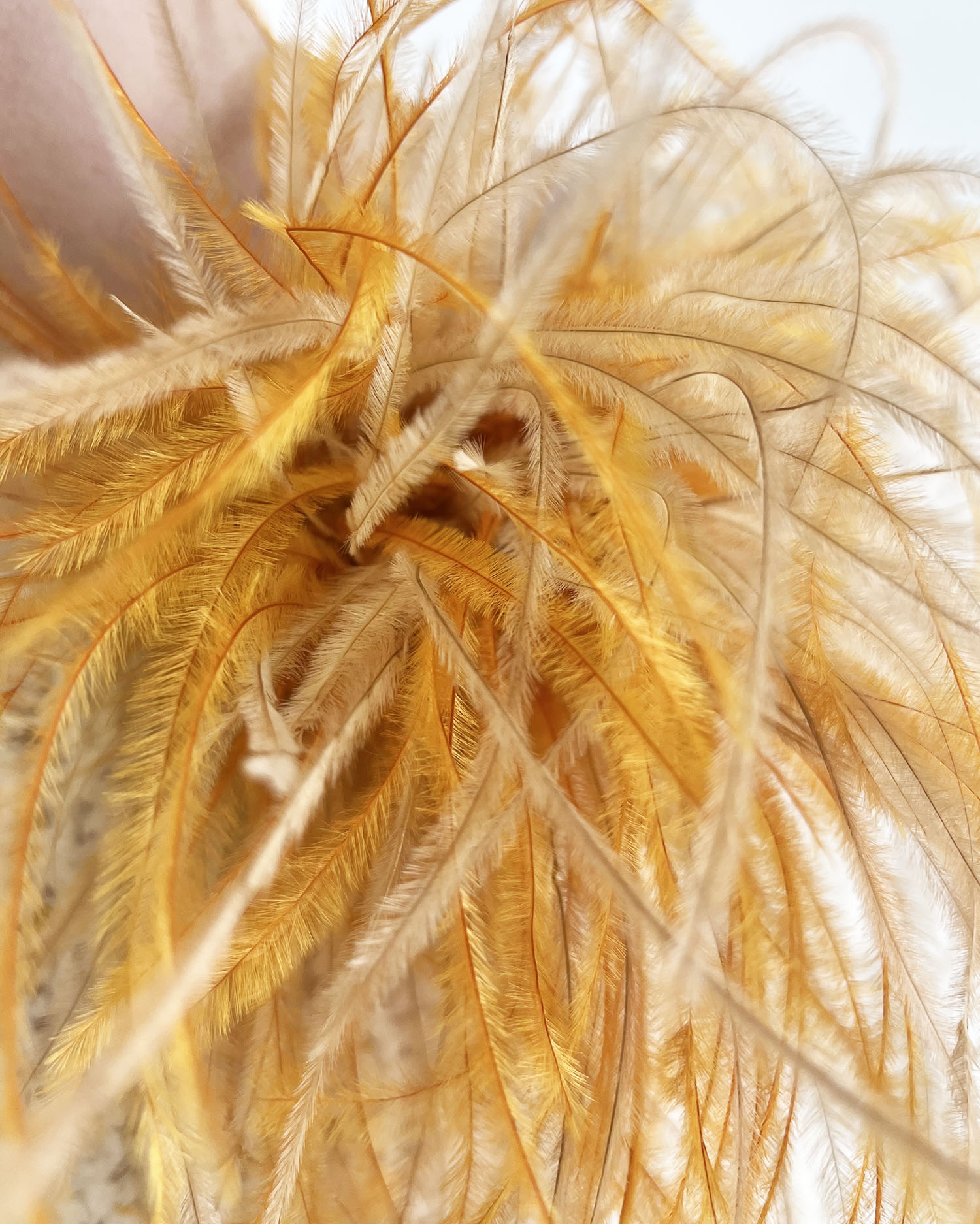 POM9183-gold-biscuit-b