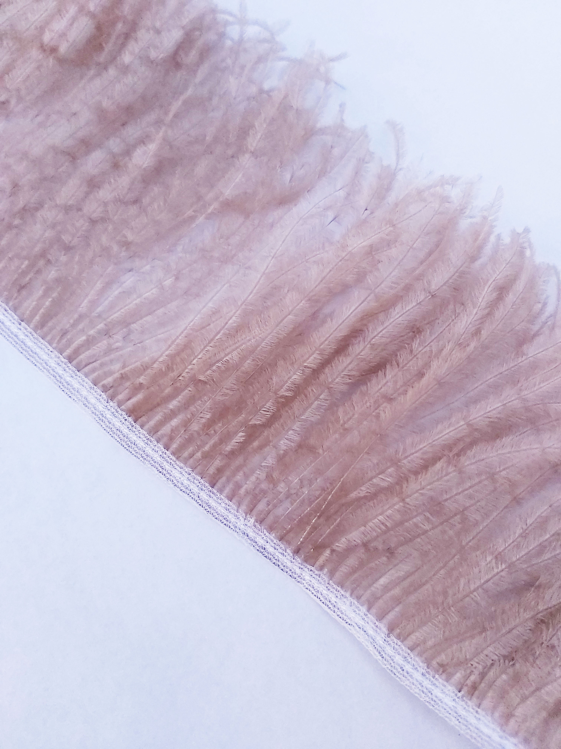 galon autruche marron clair plume de qualite