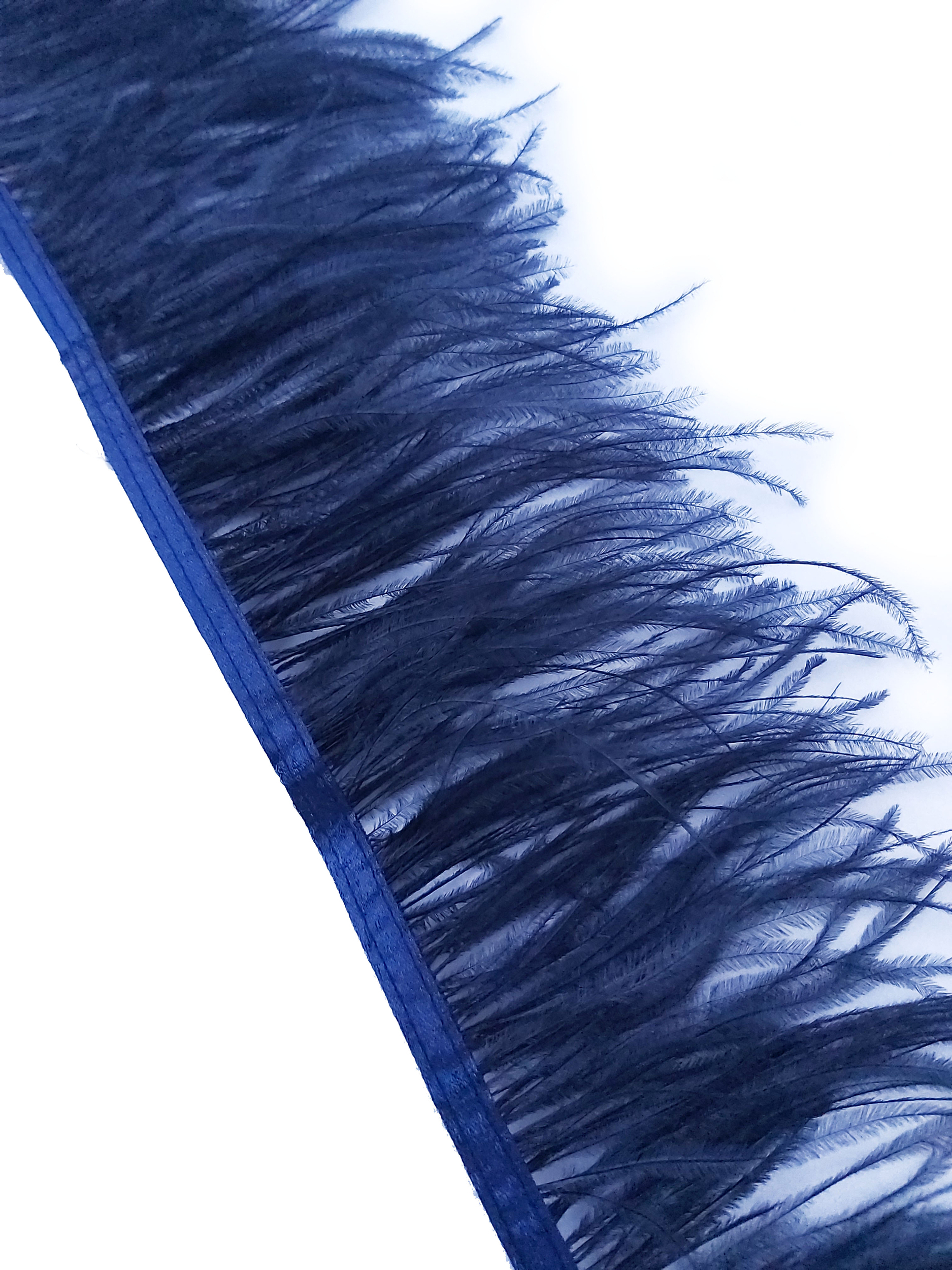 frnage autruche bleu fonce plume