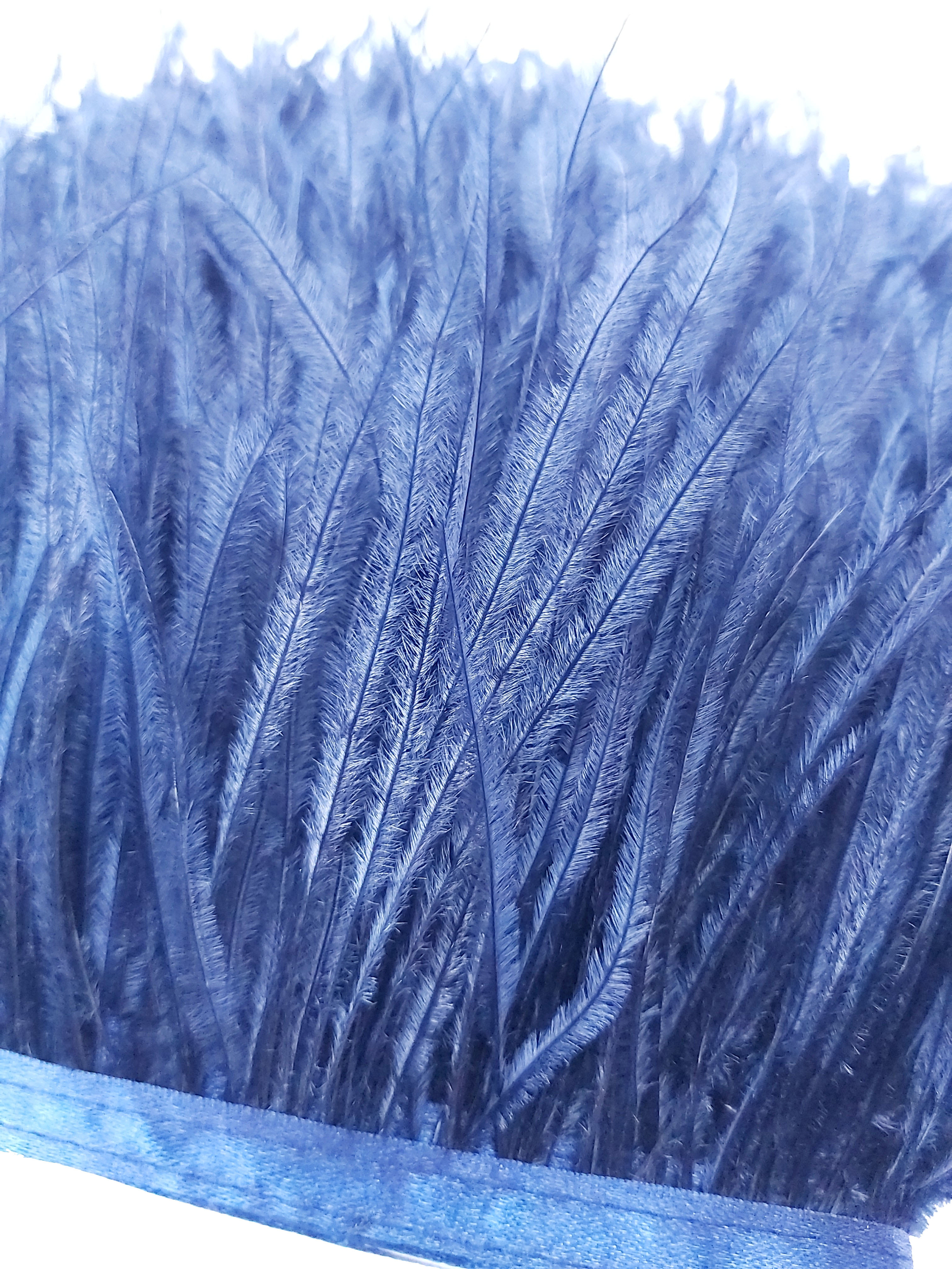 galon autruche bleu marine plume