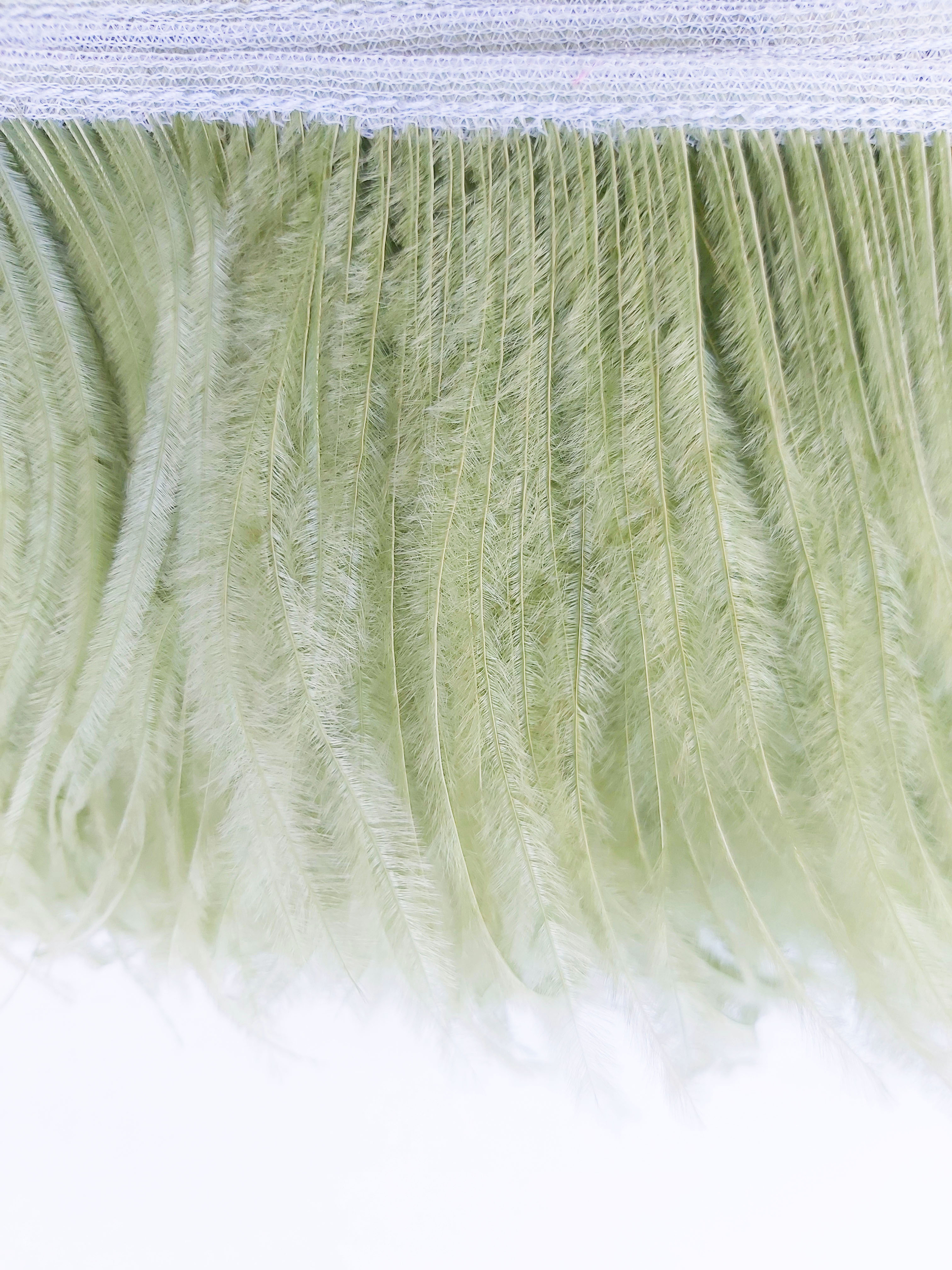 galon autruche vert tilleul plume