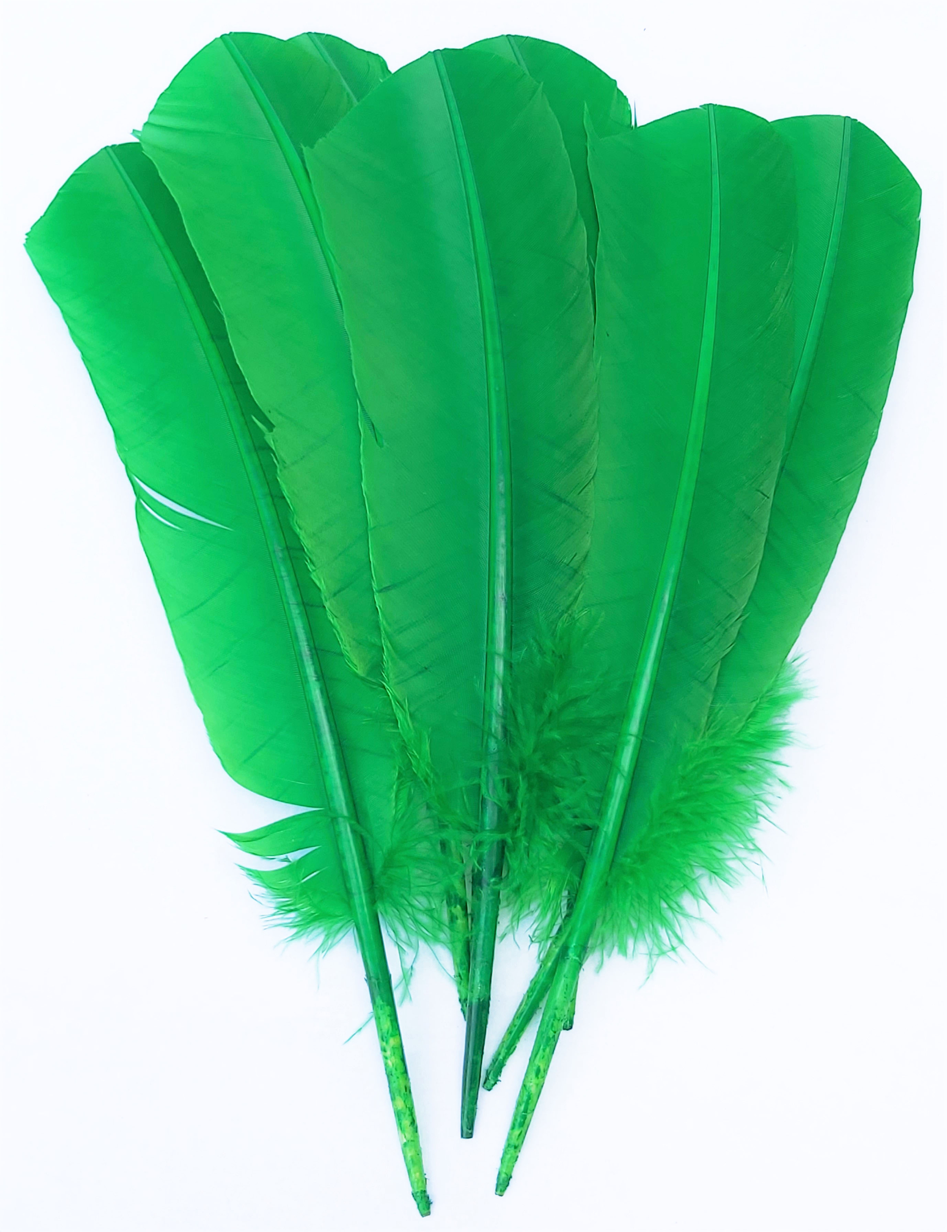 plume palette dinde grande rigide vert