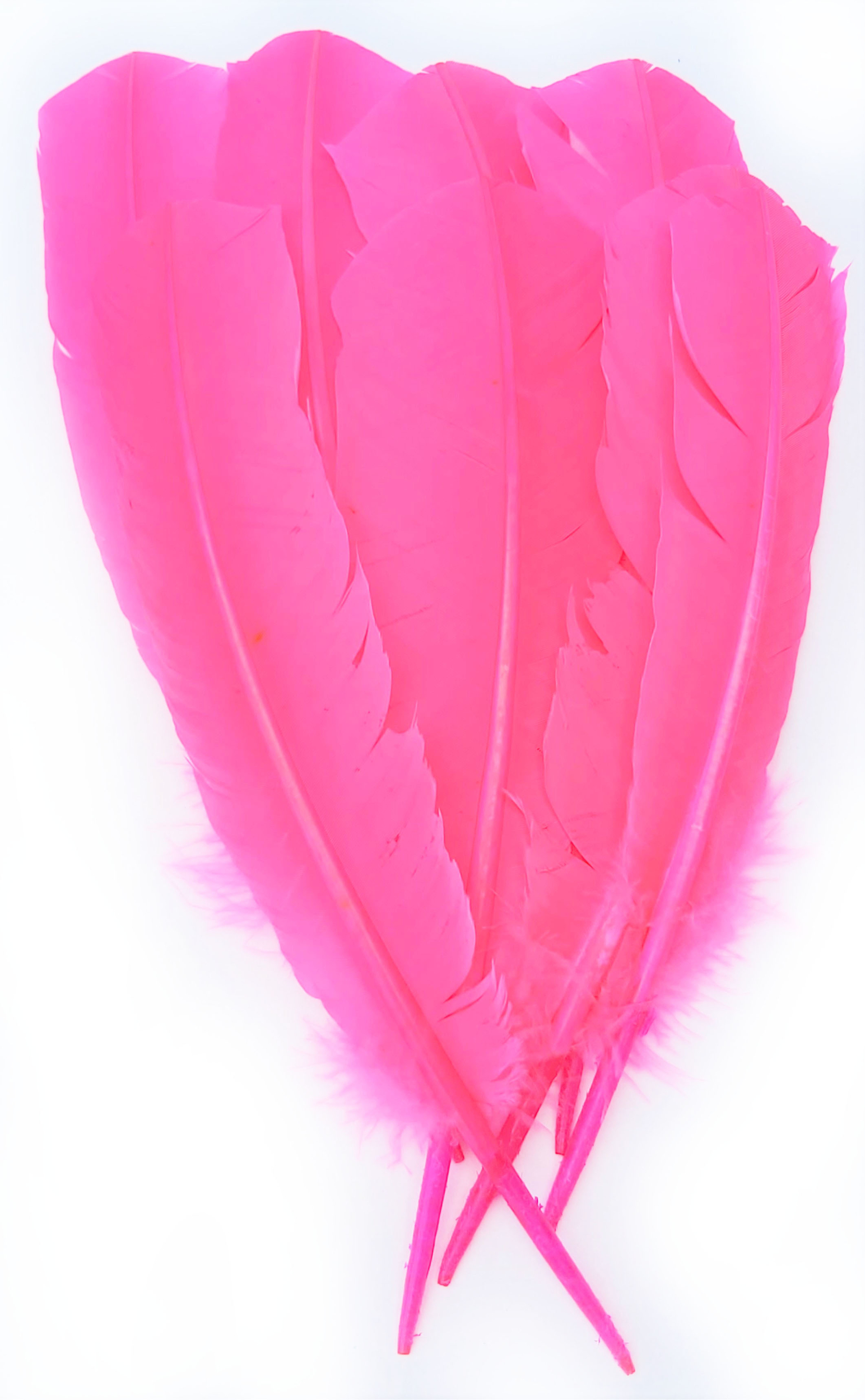 plume palette dinde grande rigide rose fluo