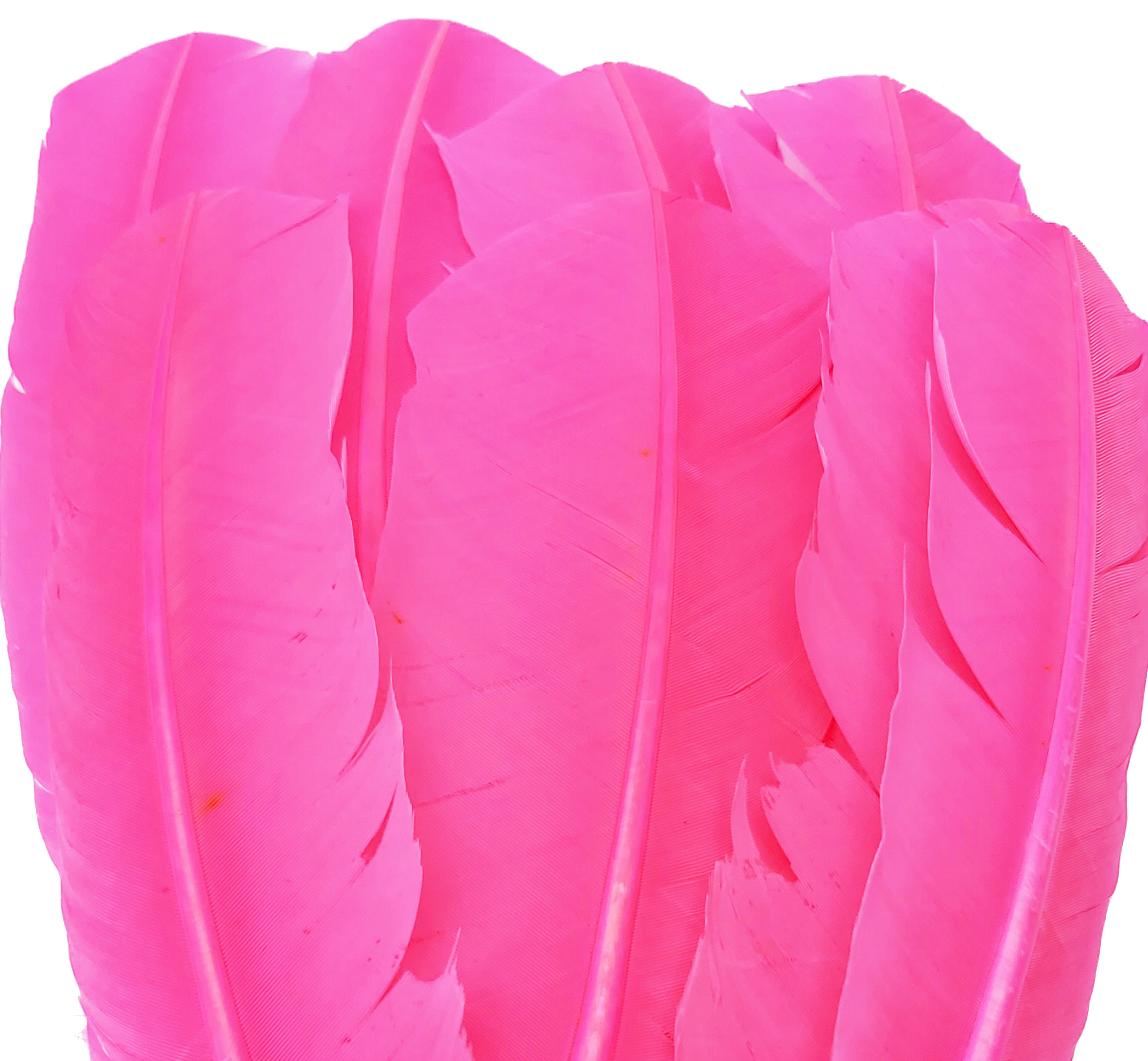 plume palette de dinde grande rigide rose fluo