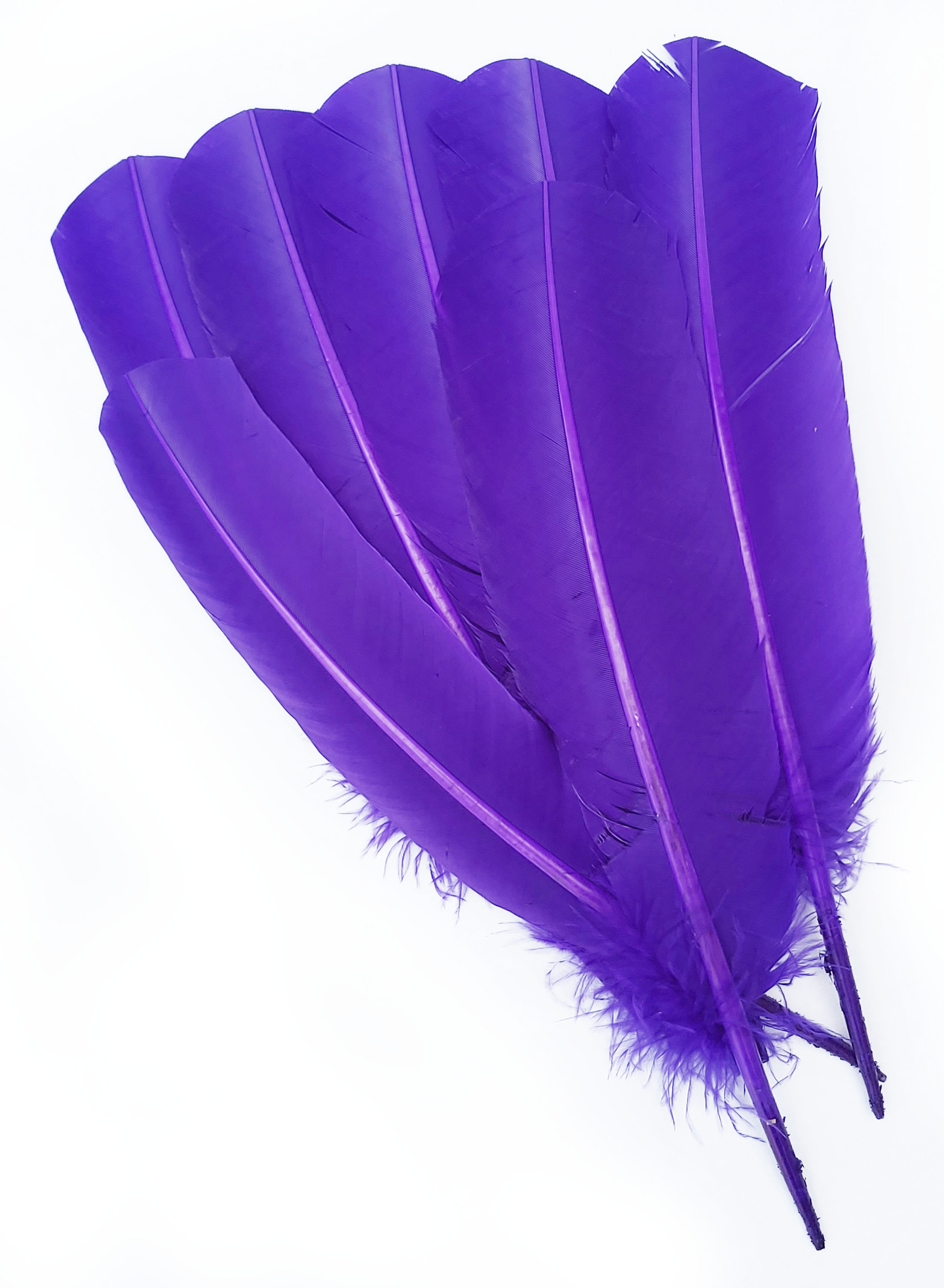 plume palette dinde grande rigide violet