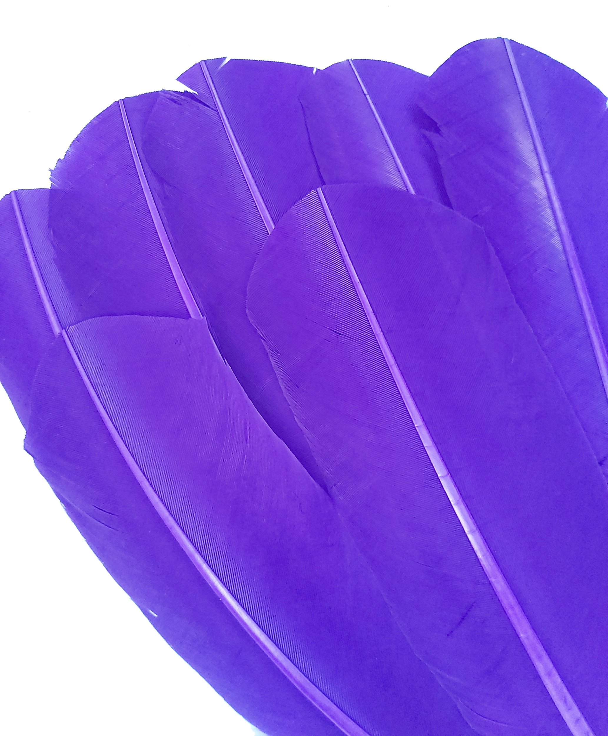 plume palette de dinde grande rigide violet