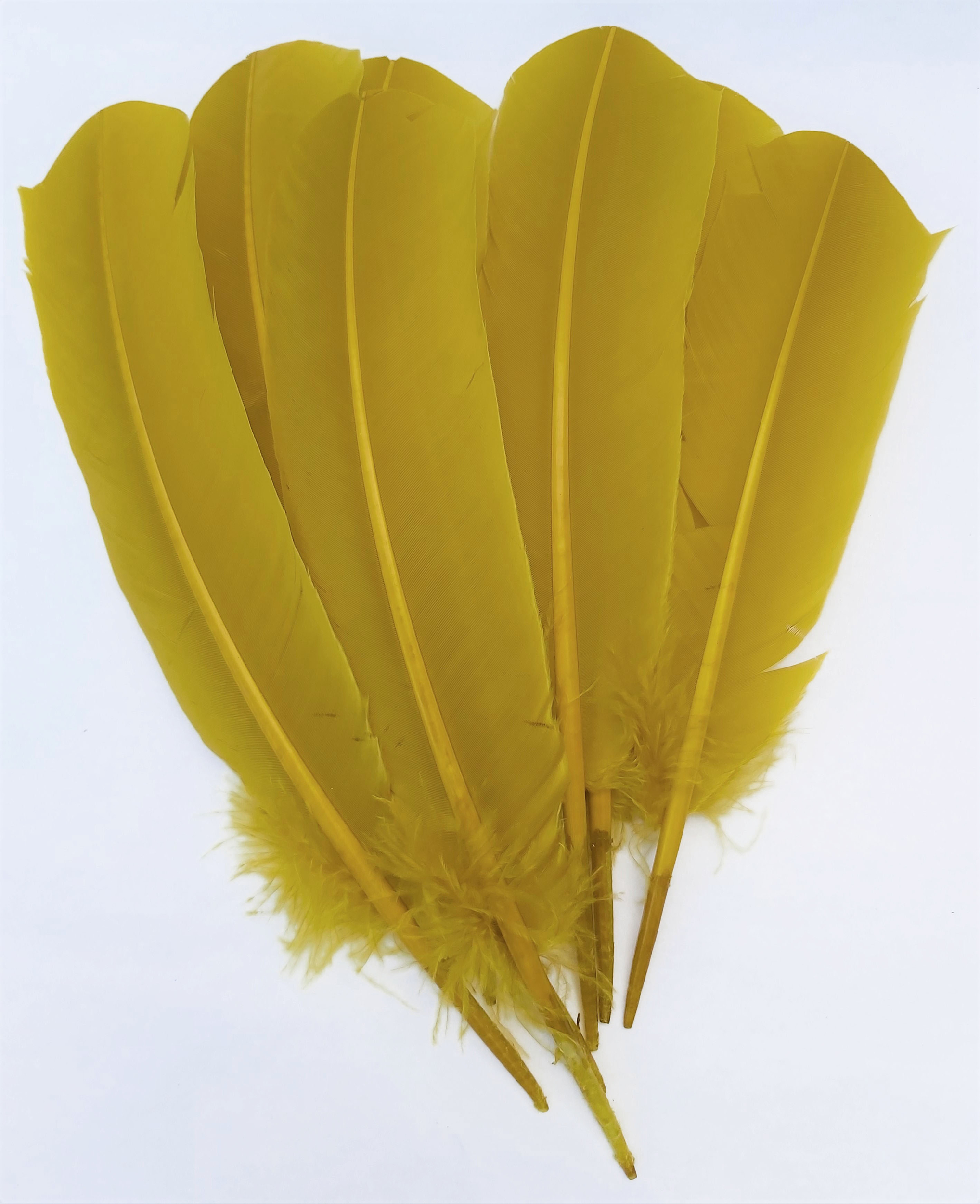 plume palette de dinde grande rigide moutarde jaune