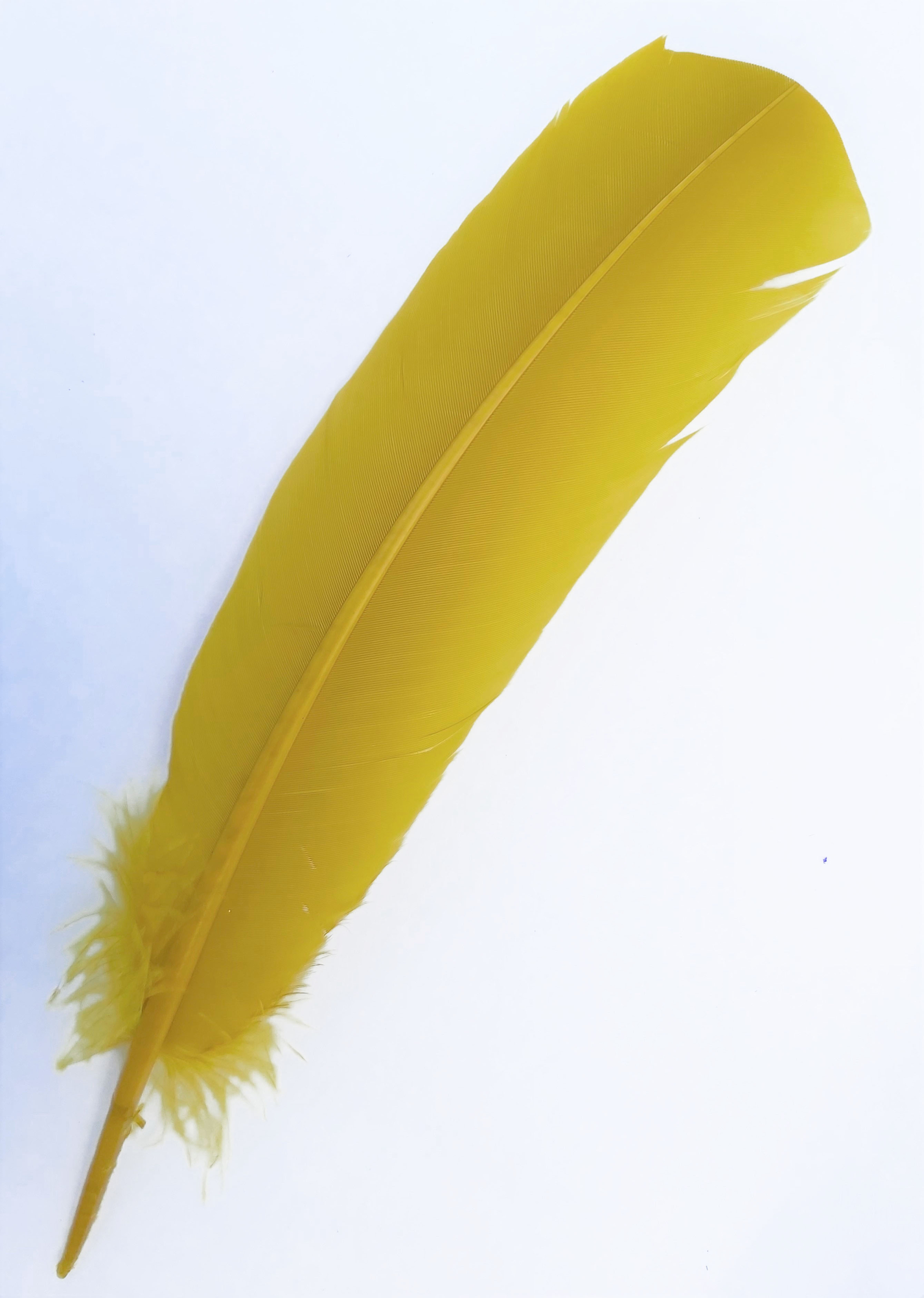 plume palette de dinde grande rigide jaune moutarde